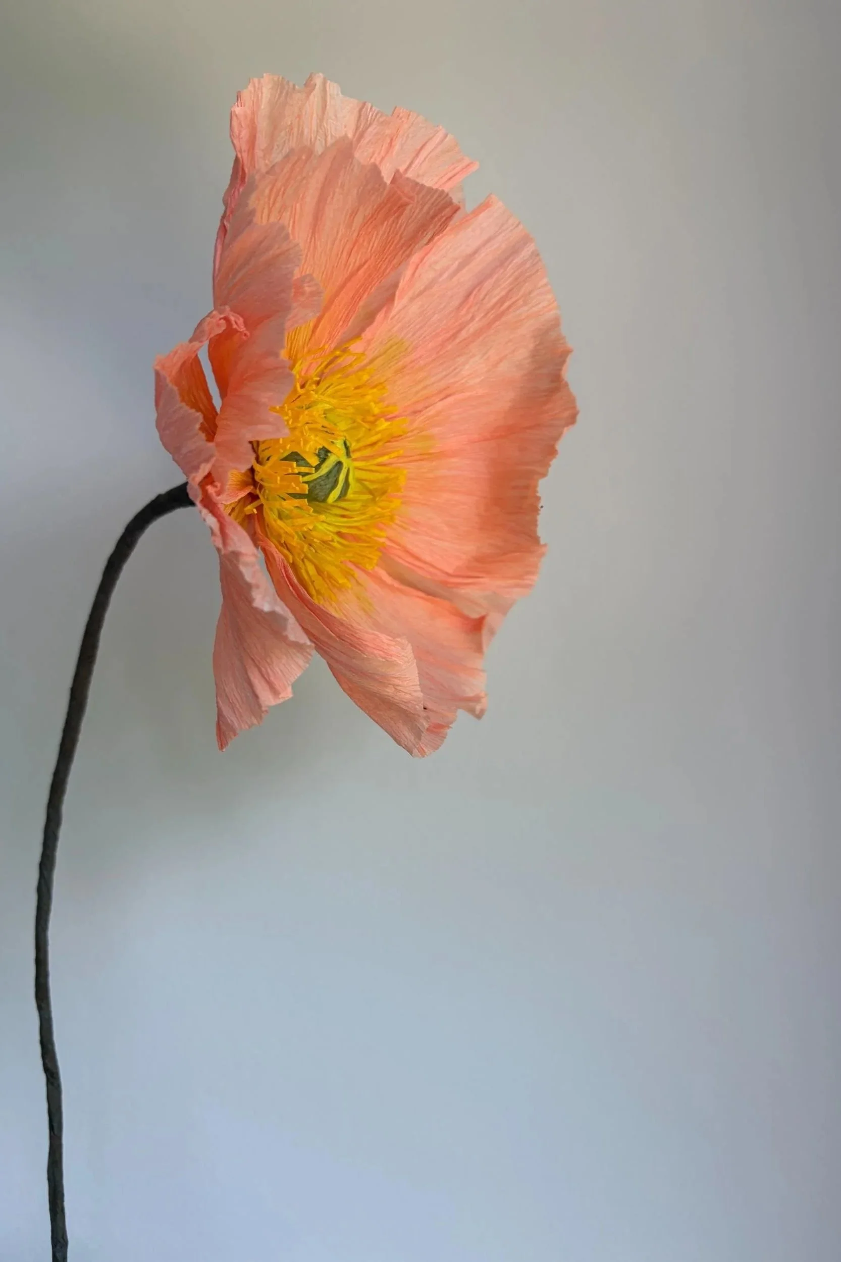 Side view of a realistic handmade peach paper poppy with layered crinkled petals and detailed yellow stamen centre, by Emmeli Kimhi.