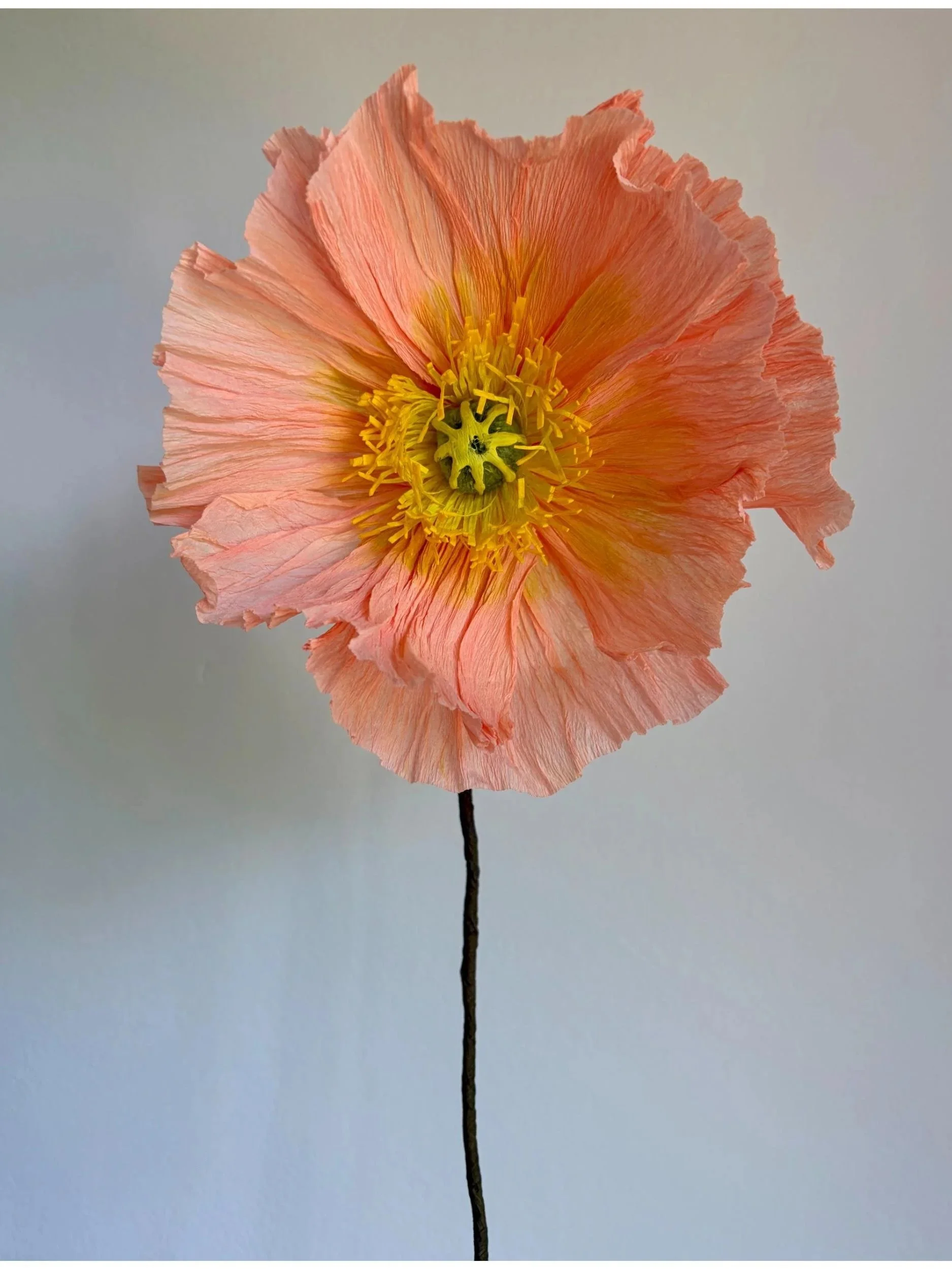 Large handmade peach and coral paper poppy flower with delicate ruffled petals and bright yellow centre, created by paper flower artist Emmeli Kimhi.