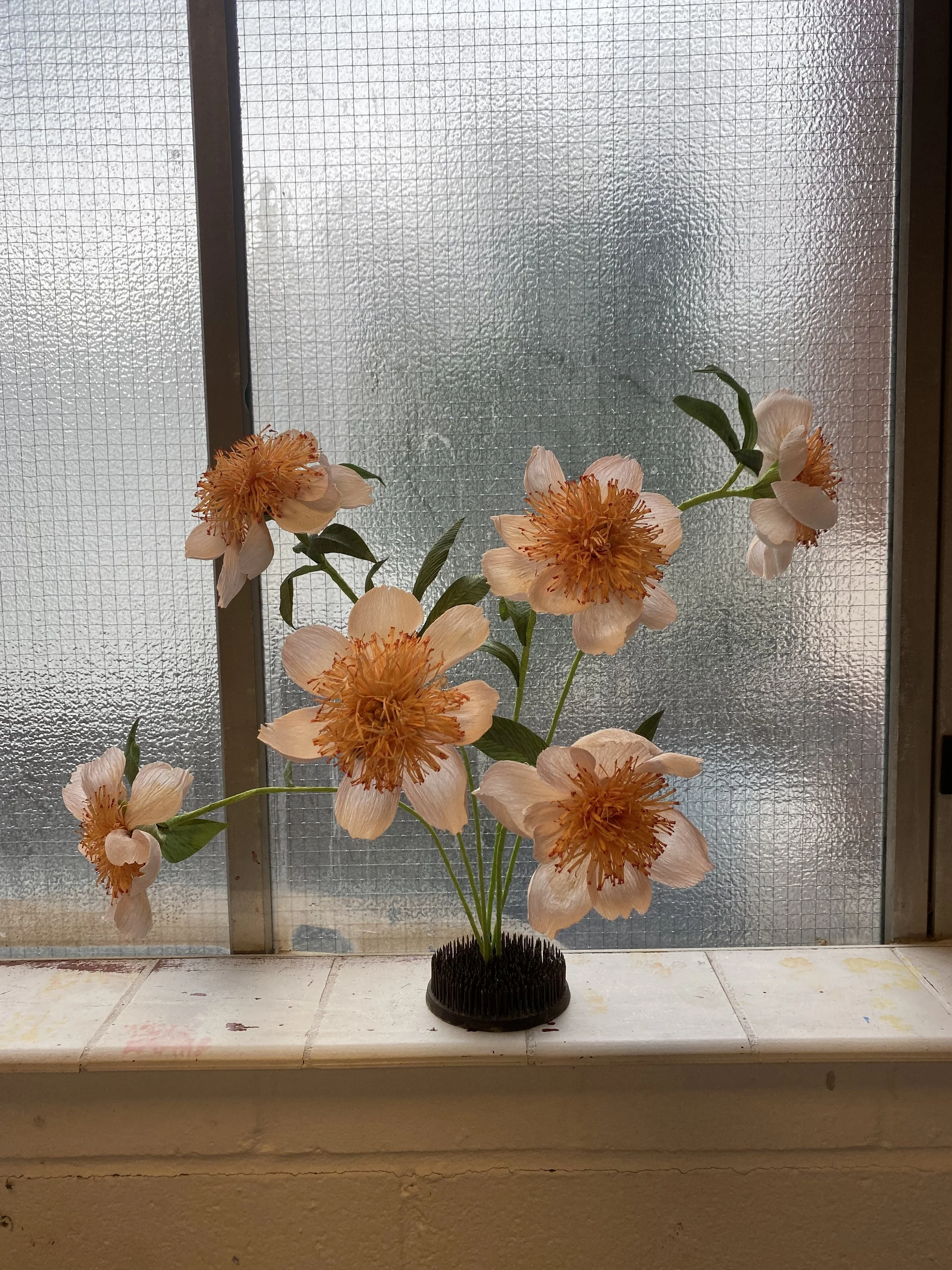 A bouquet of peach-colored flowers with orange centers on a windowsill, with a textured glass window in the background. by Emmeli Kimhi