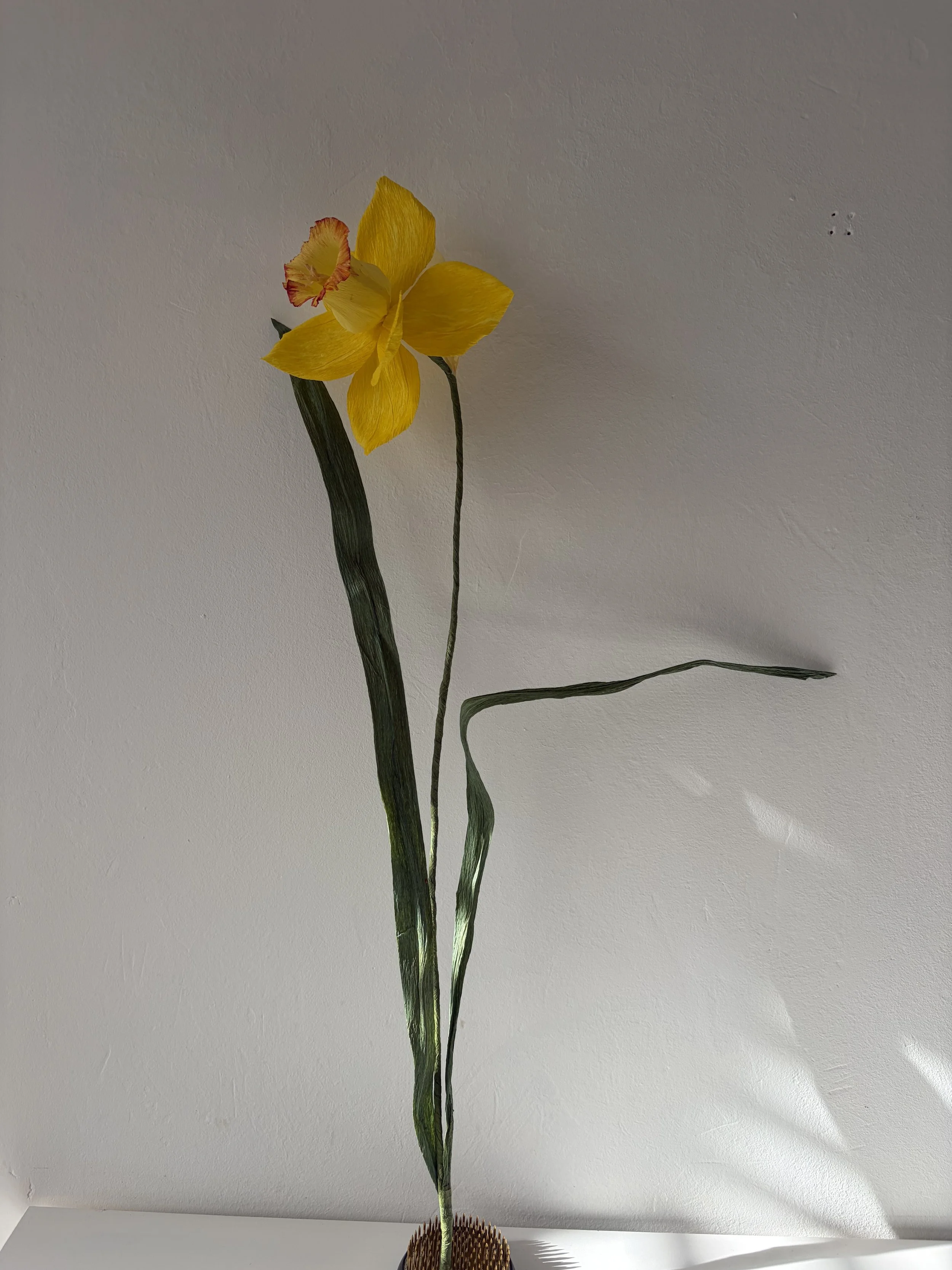 IMG_0522.jpeg