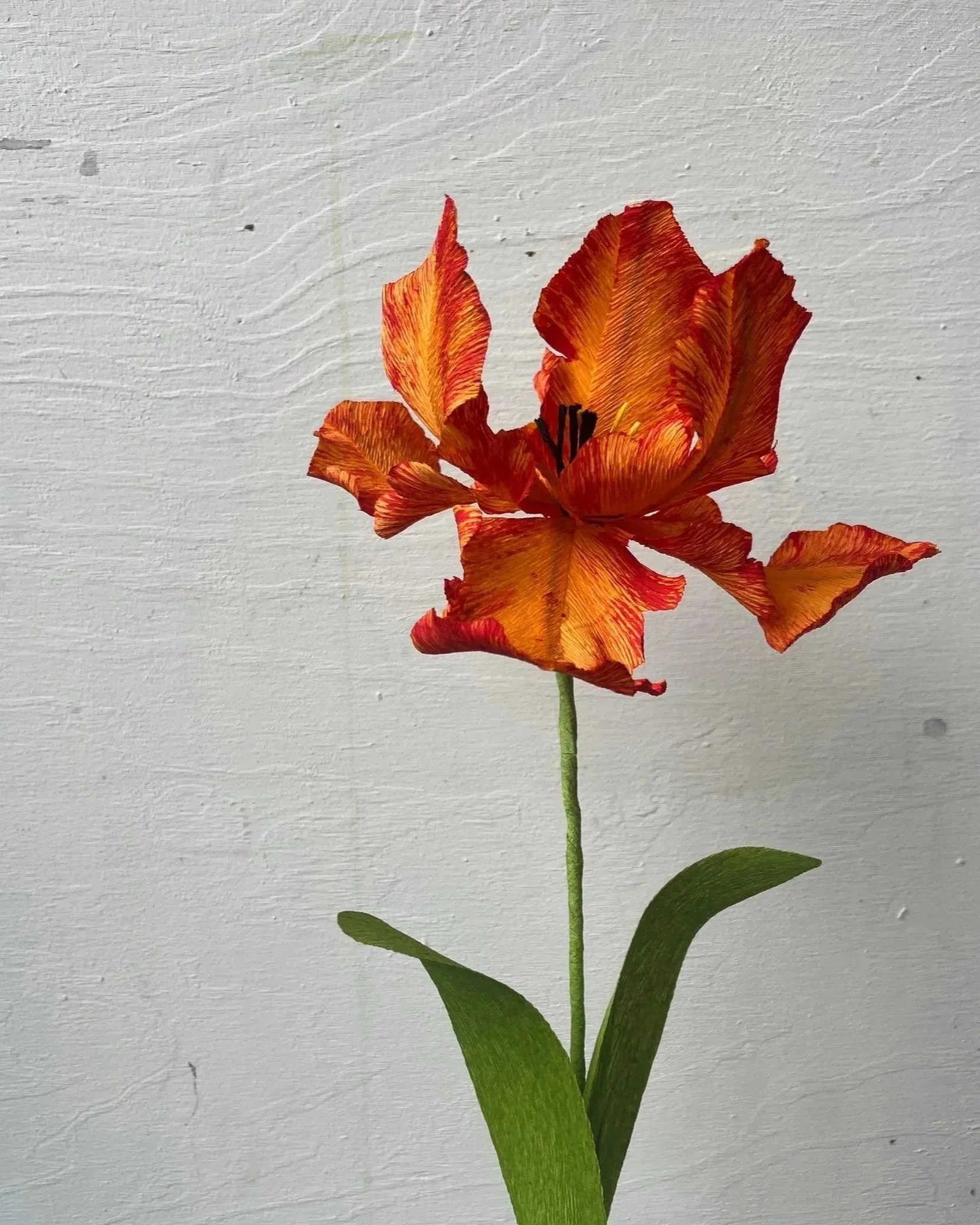 Handmade Parrot Tulip
