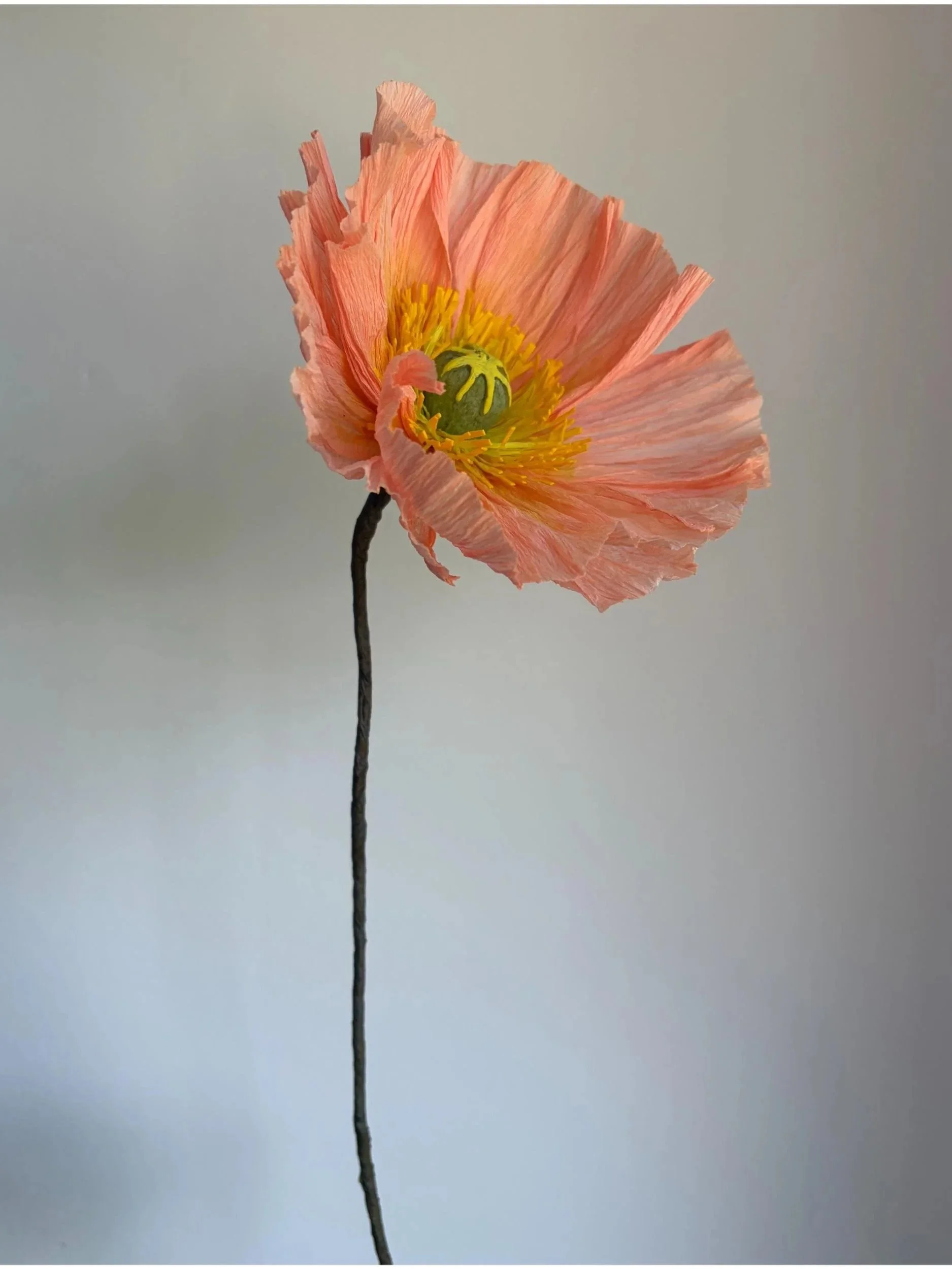 Artistic angled view of a sculptural peach paper poppy flower with flowing petals and dark stem against a neutral background, handmade by Emmeli Kimhi.