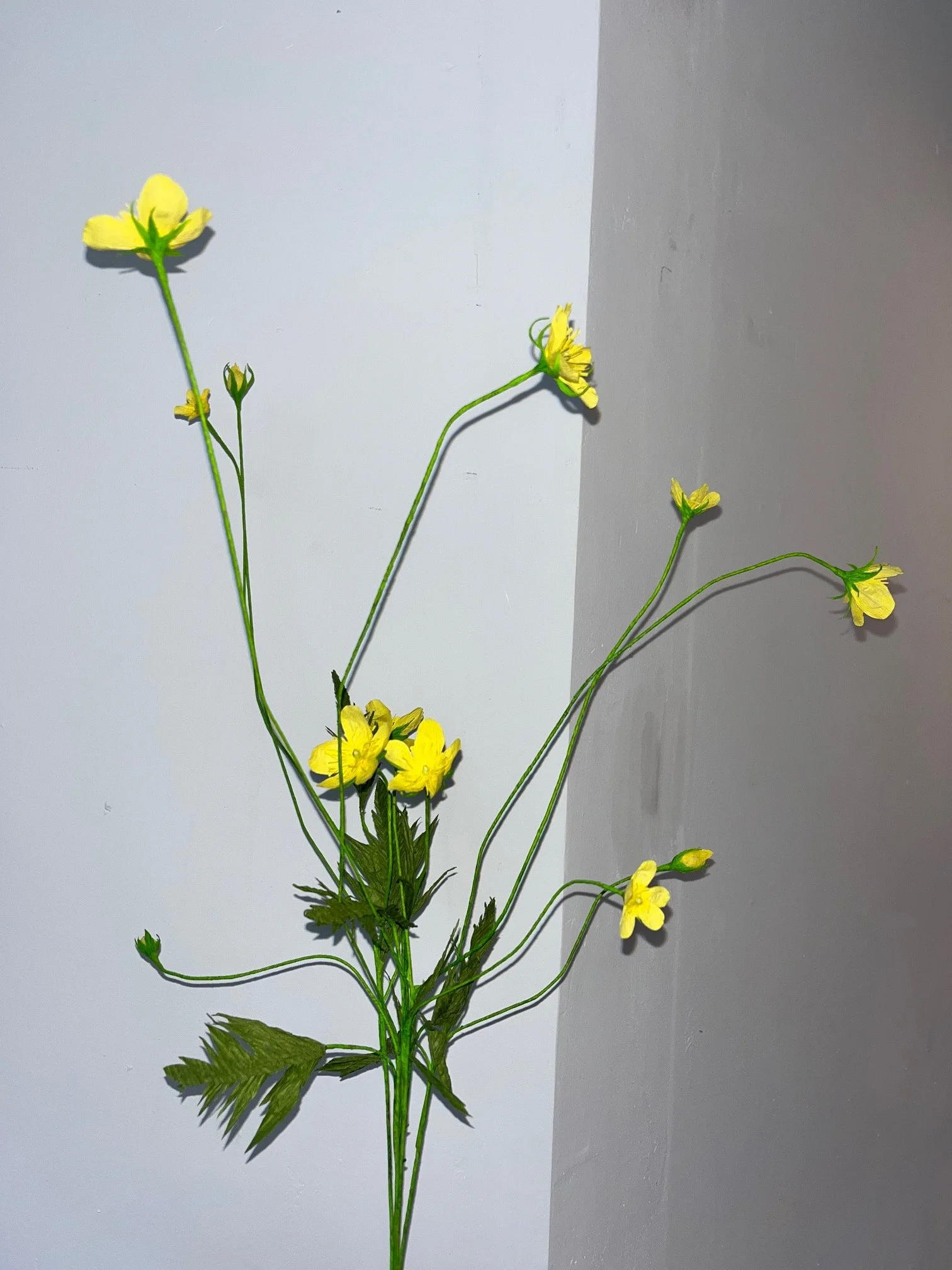 Yellow paper flowers by Emmeli Kimhi with green stems and leaves against a background of a two-tone wall, with white on the left and gray on the right.