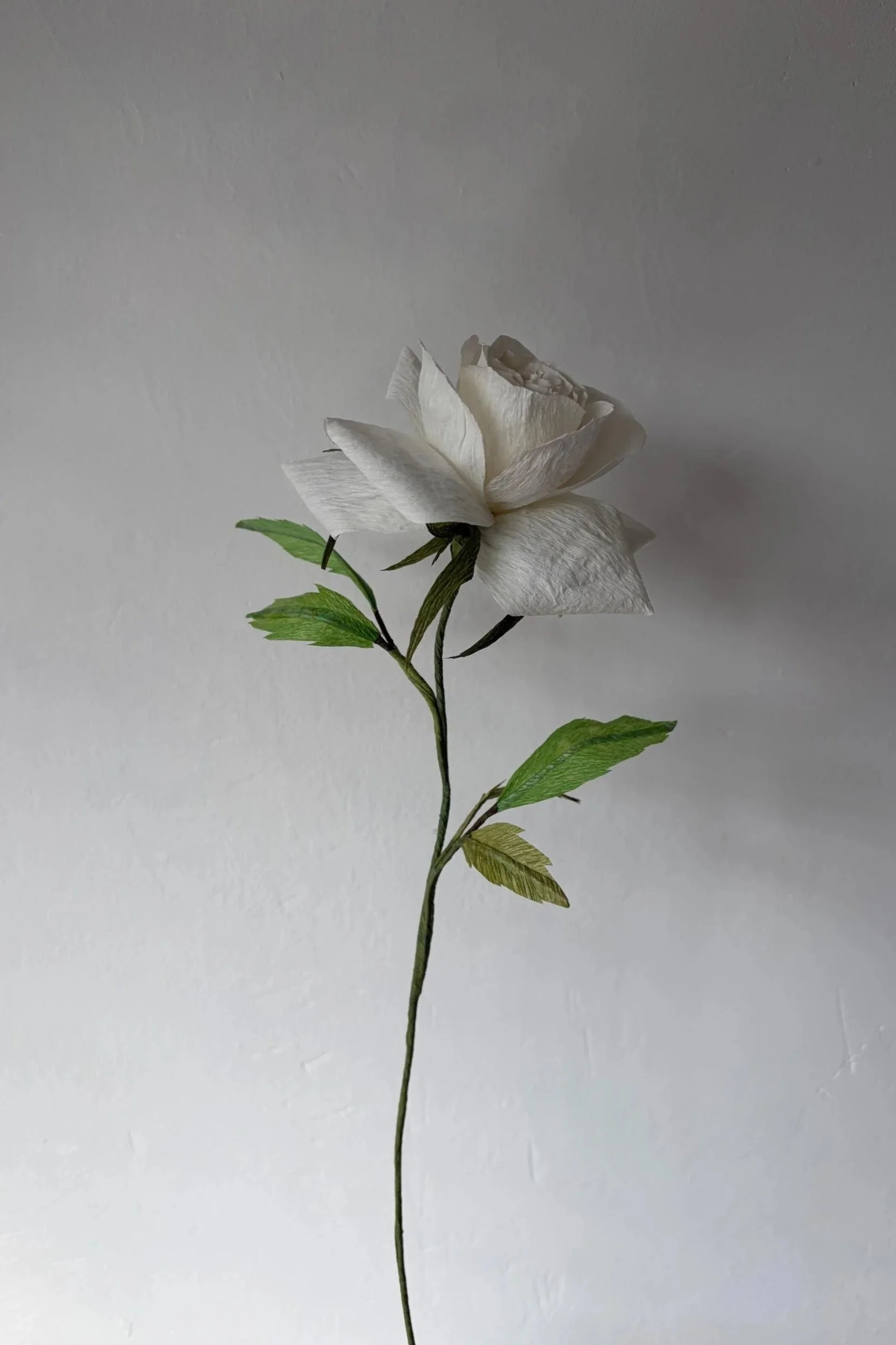 Realistic handmade white paper rose sculpture showing detailed petal texture, handcrafted by London artist Emmeli Kimhi