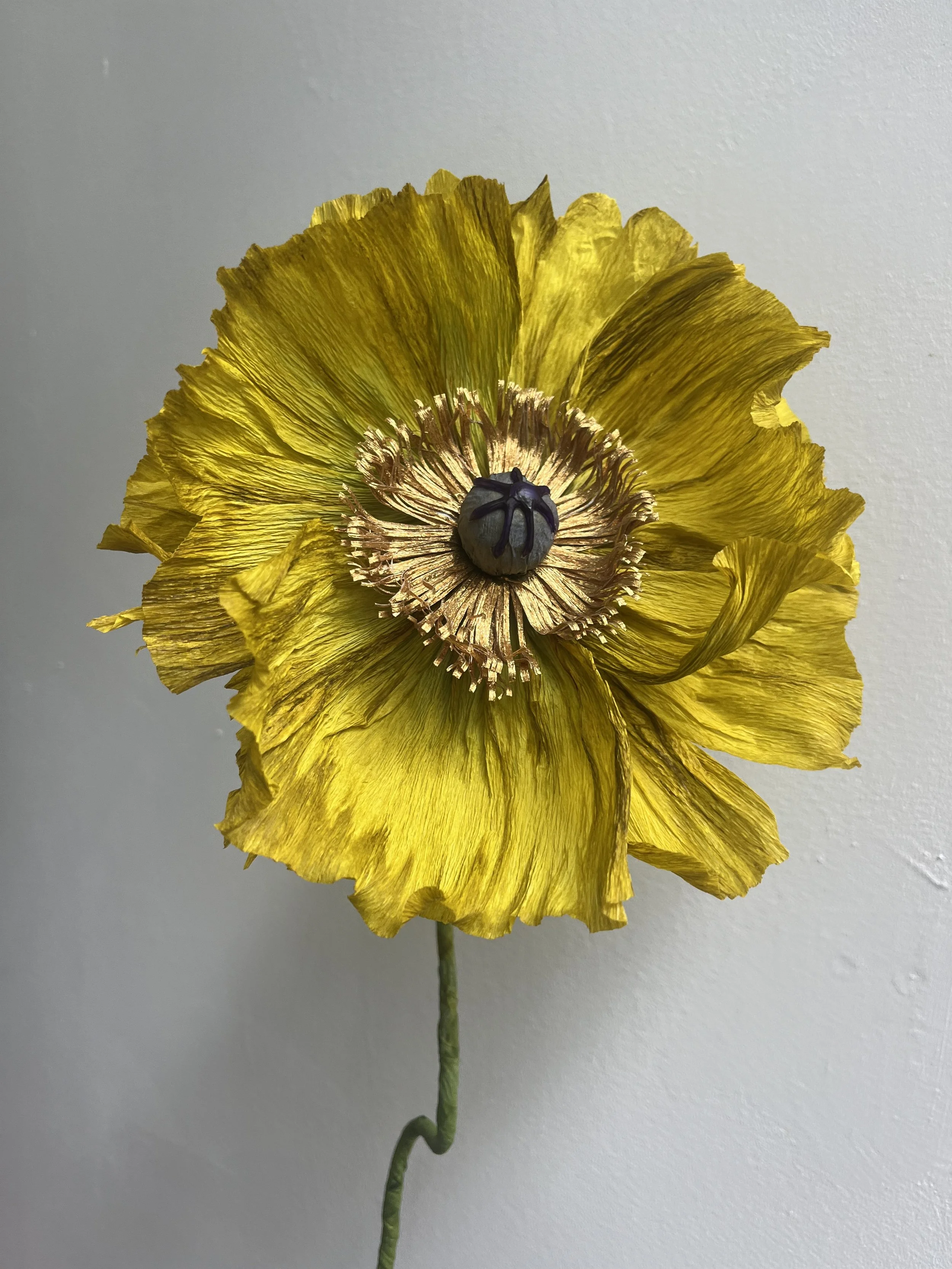 A yellow paper poppy flower  by Emmeli Kimhi with a dark center and a light stem against a plain background.