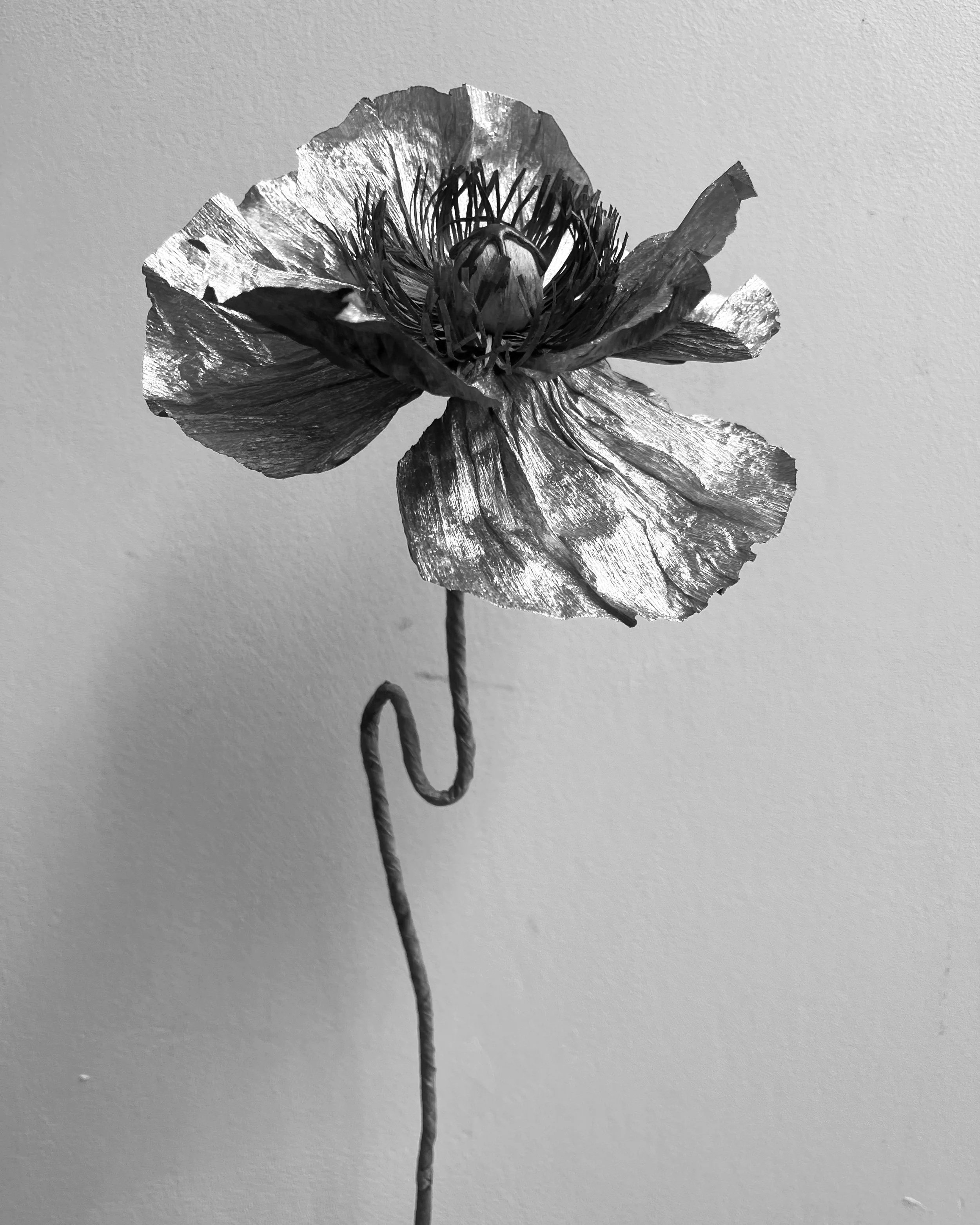 Metallic gold handmade paper poppy with dramatic petals and blue-grey centre, featured on Emmeli Kimhi digital gift card