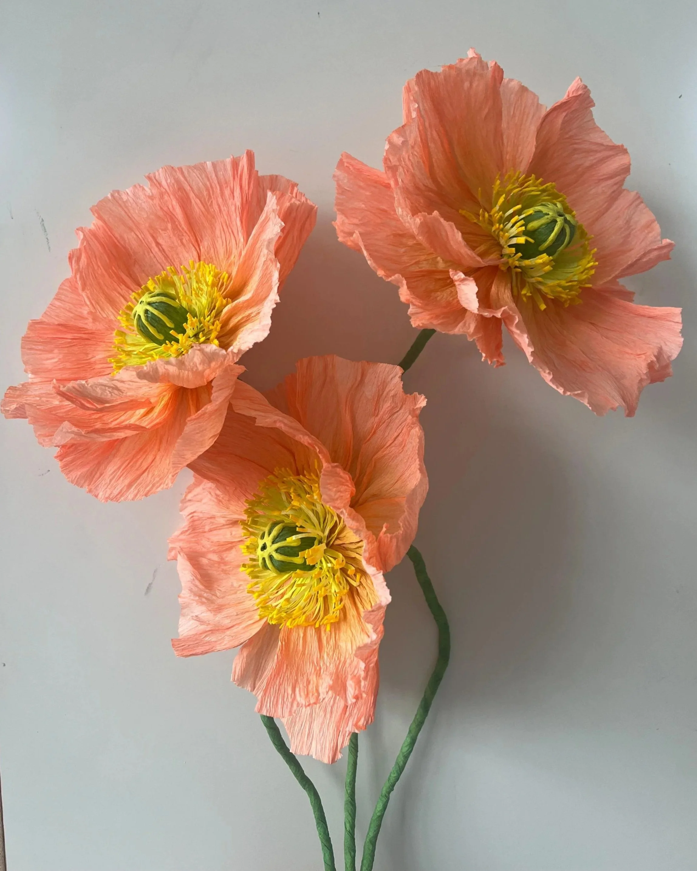 Peach Ruffled Poppy