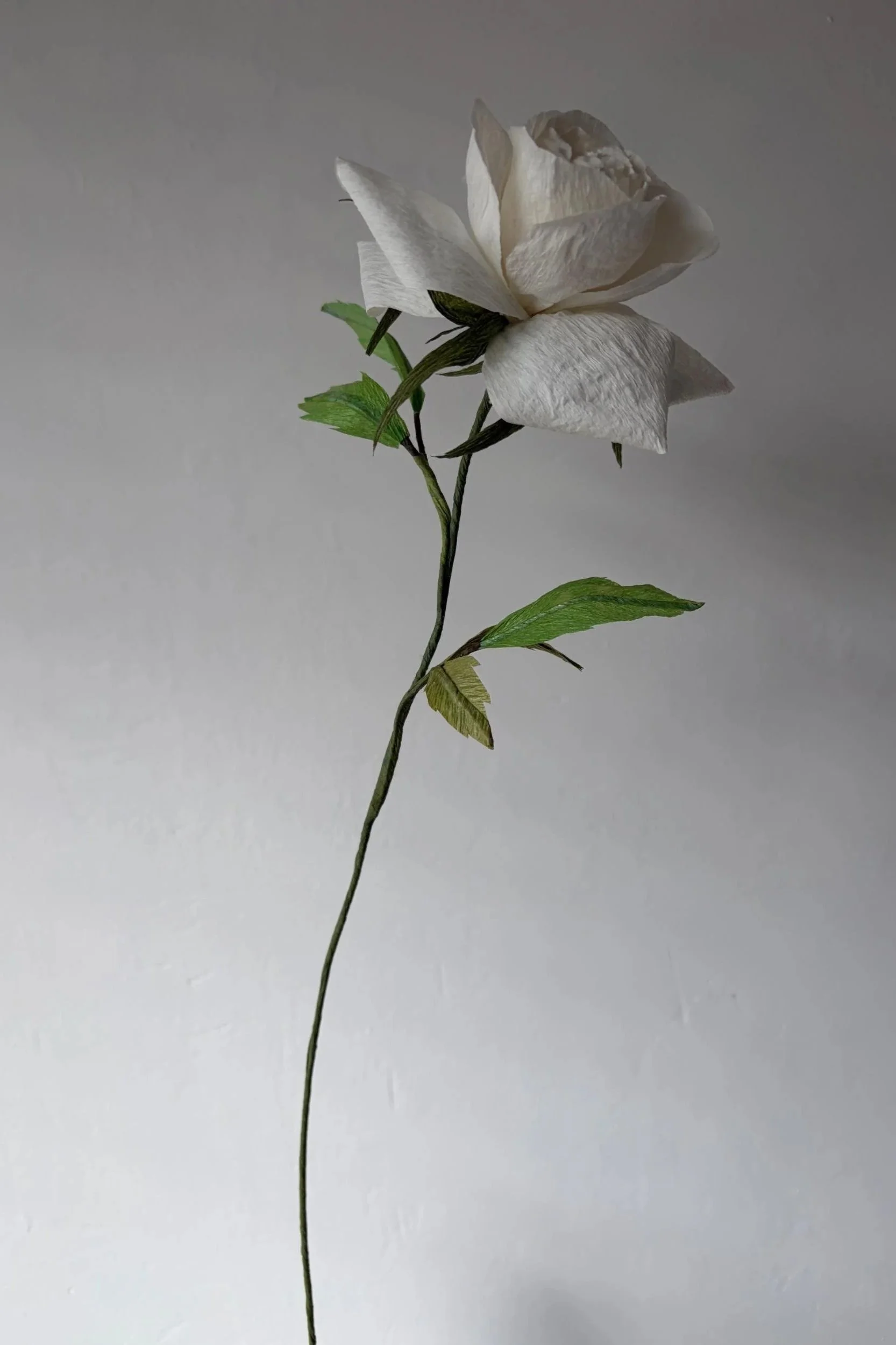 Handmade white paper rose with soft layered petals and green leaves by Emmeli Kimhi