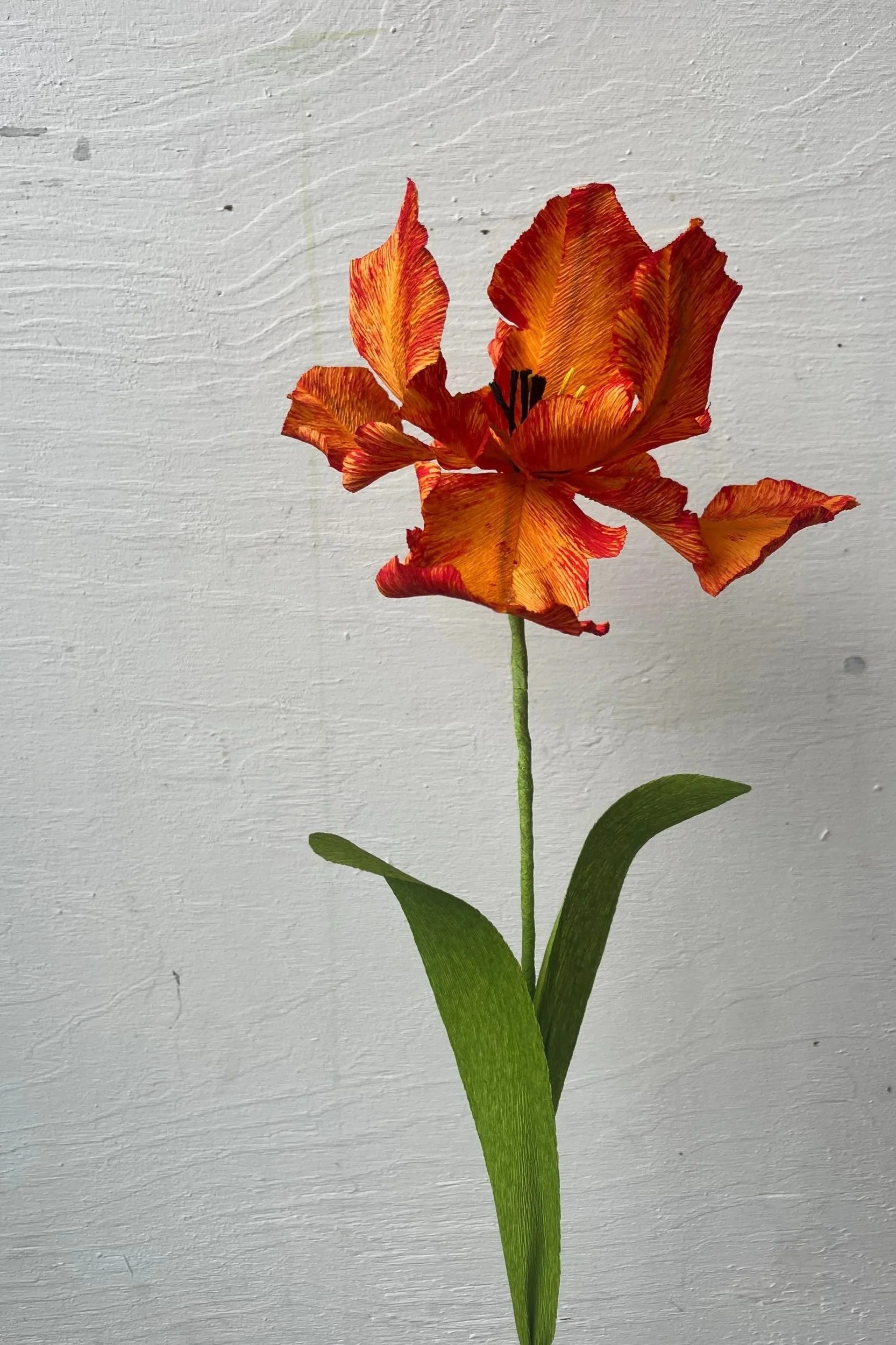 Handmade Parrot Tulip with dramatic ruffled and frilled petals in vibrant orange and red by Emmeli Kimhi