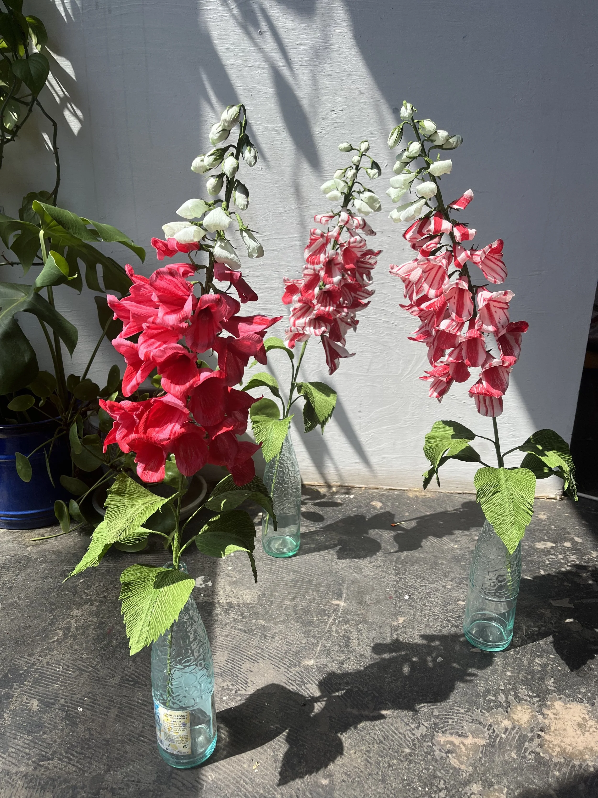 Three glass bottles are used as vases to hold flowers by Emmeli Kimhi with large green leaves at the bottom. The flowers have tall stems with clusters of white and pink striped blossoms.