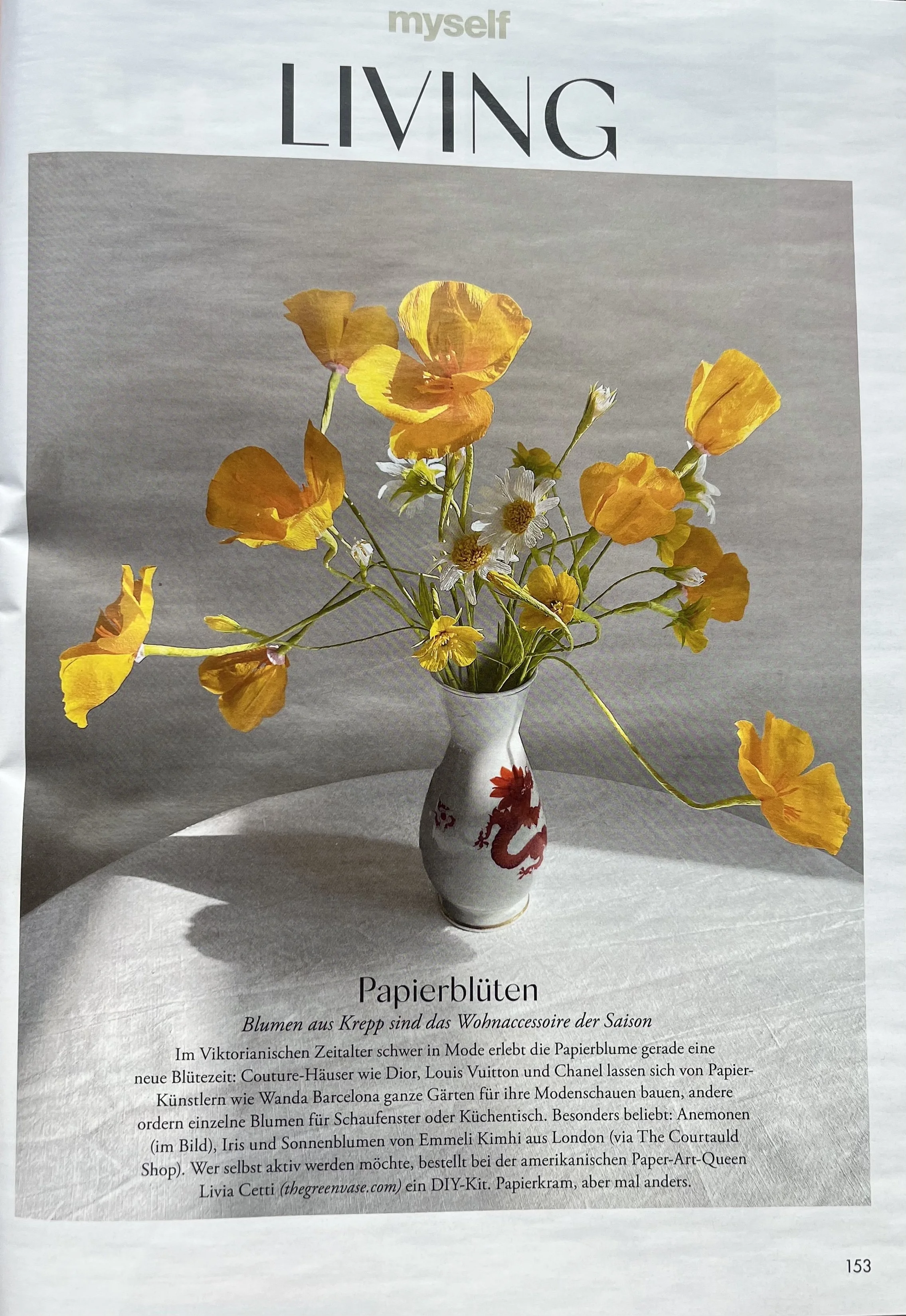 Californian poppies featured in MYSELF magazine 2022.