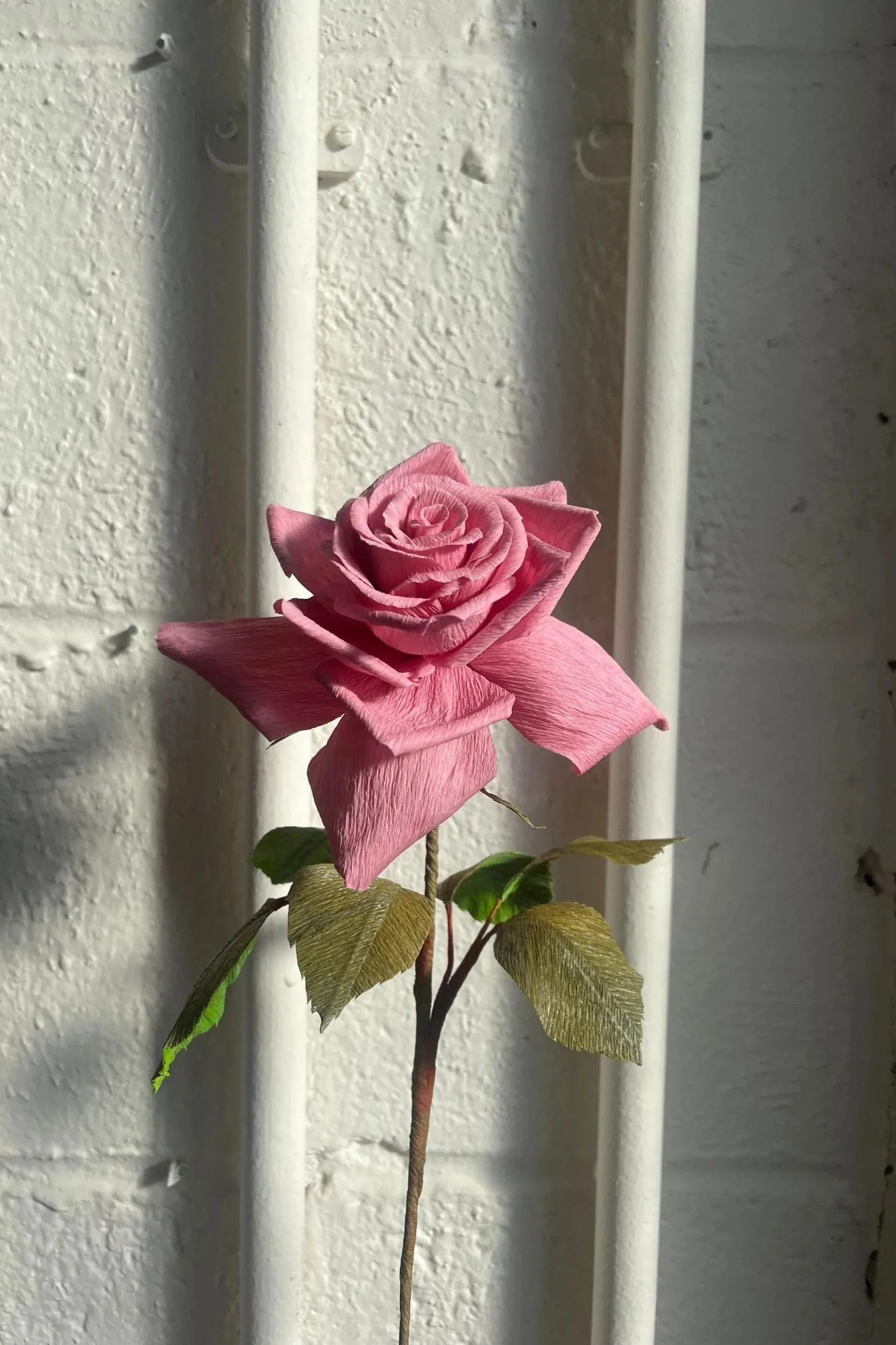 Vibrant handmade pink paper rose catching natural light, sculptural paper flower by Emmeli Kimhi