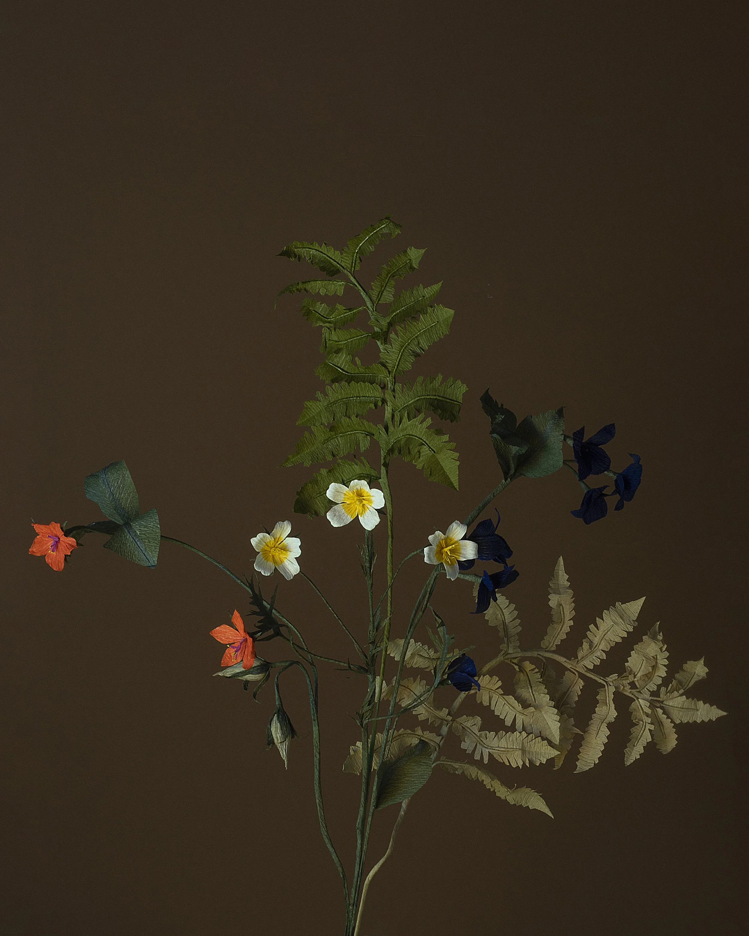Artificial plant arrangement with various colorful flowers, green leaves, and brown fern-like foliage by Emmeli Kimhi against a plain dark background.