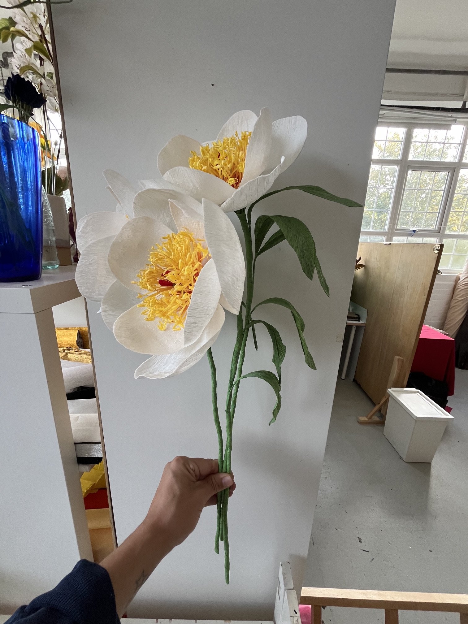 Emmeli Kimhi holding a large paper white peony flower with yellow and red details in the center, indoors near a white wall and a window.