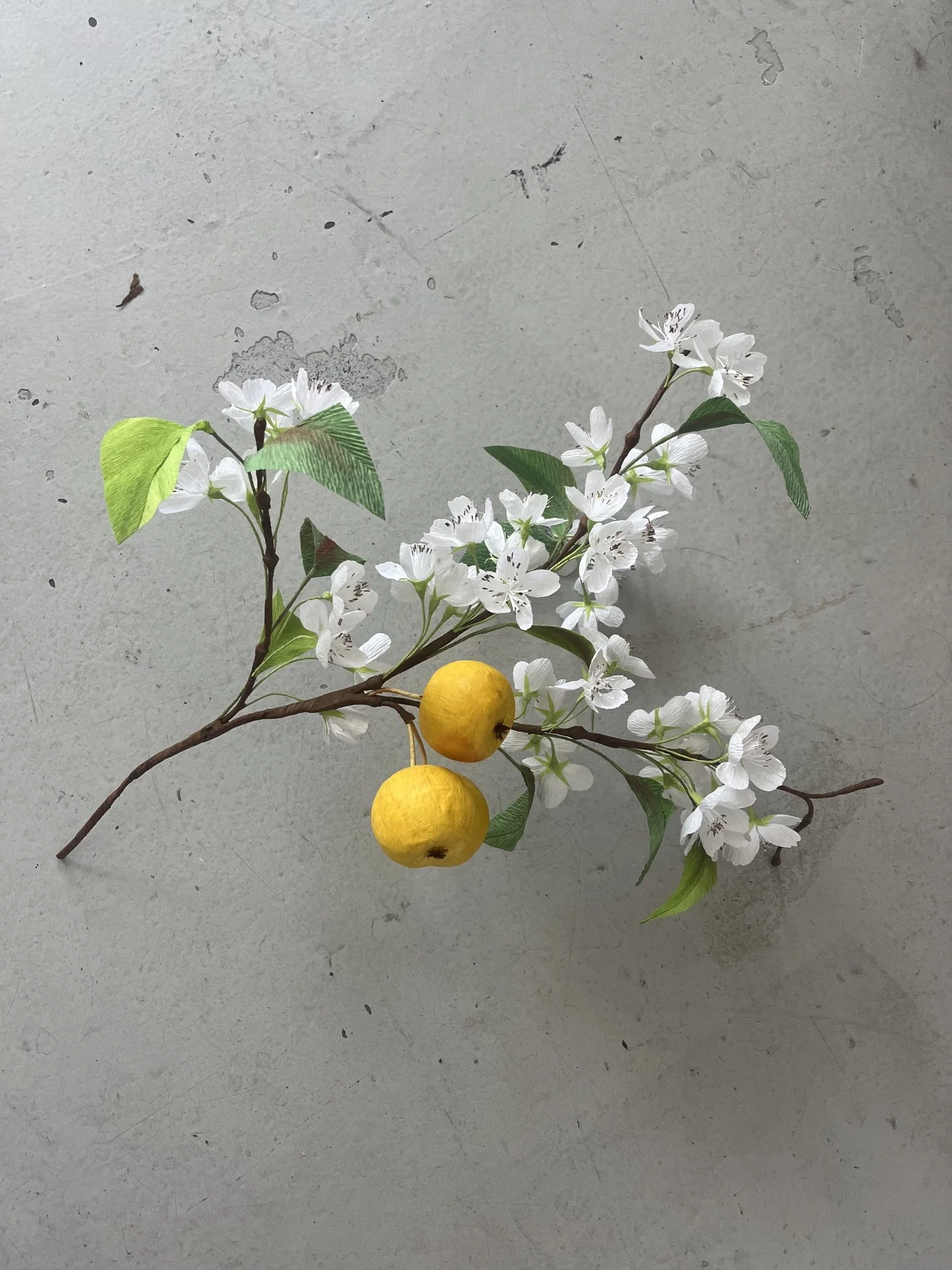 Artificial plant with white flowers, green leaves, and two yellow apples by Emmeli Kimhi on a gray surface.