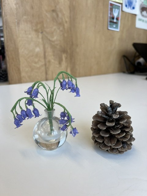 Small glass vase with purple bluebell flowers by Emmeli Kimhi and a large pinecone on a white surface against a wooden background.