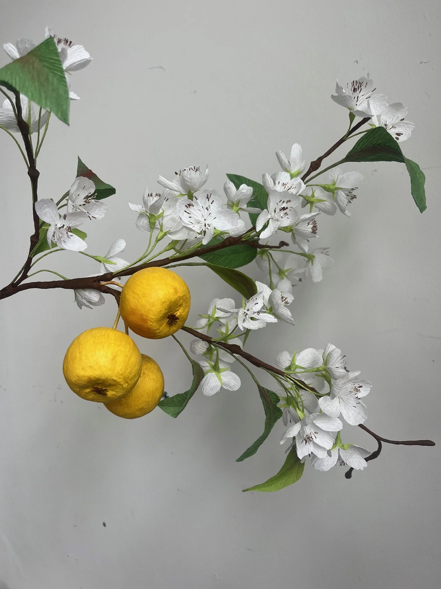 A branch with white blossoms and a few bright yellow apples by Emmeli Kimhi against a plain light background.