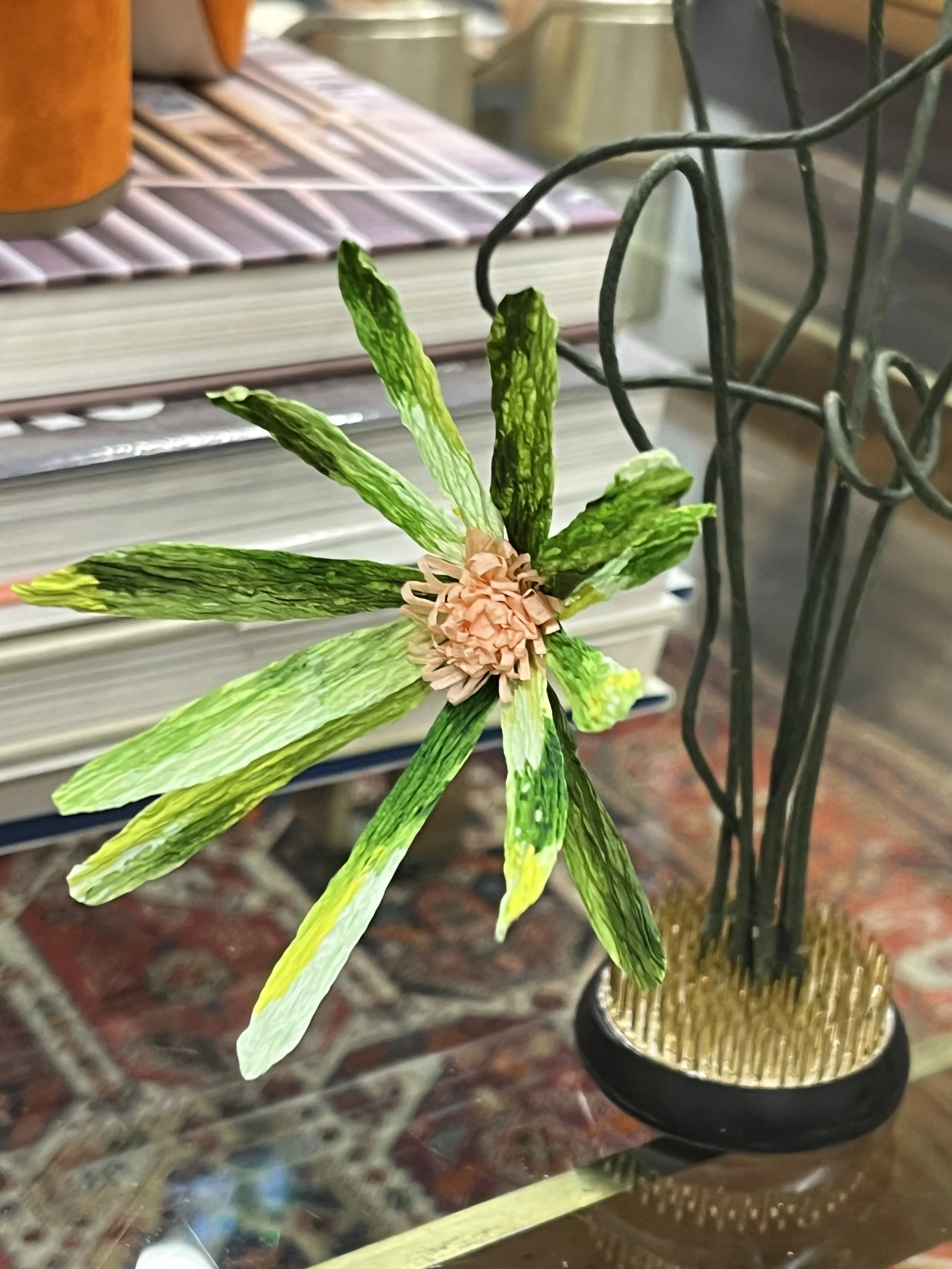 A decorative indoor plant  by Emmeli Kimhi with variegated green and white leaves in a small pot, placed on a surface next to a wire basket.