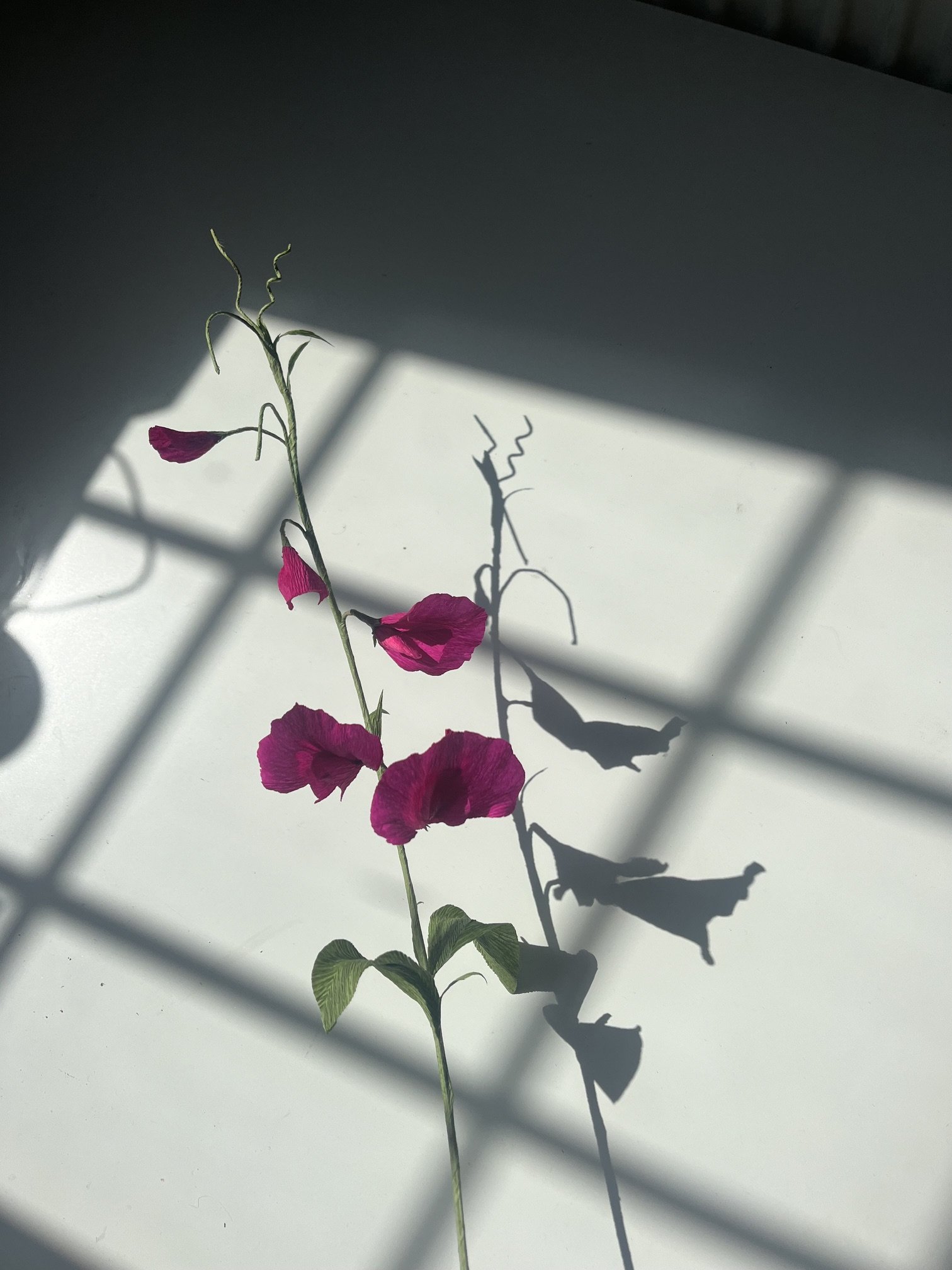 A paper pink flower  by Emmeli Kimhi with green leaves on a long stem, casting a shadow on a white surface, with sunlight creating a grid pattern.