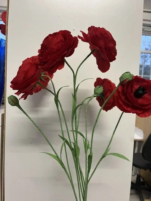 A bouquet of five red rpaper anunculus flowers by Emmeli Kimhi with green stems and leaves, some flowers are fully bloomed, and you can see the dark centers of the open flowers.