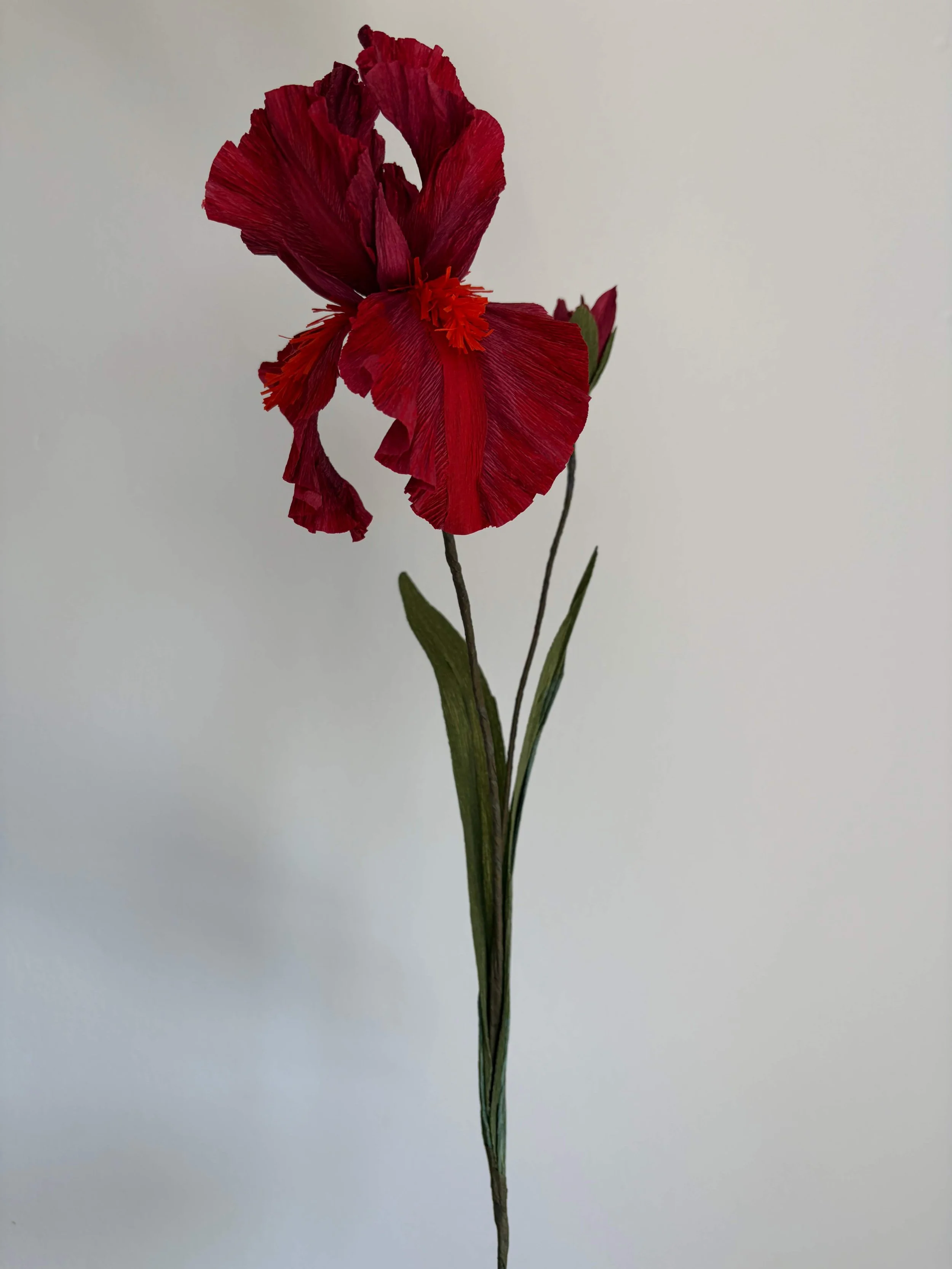 IMG_2750.jpeg