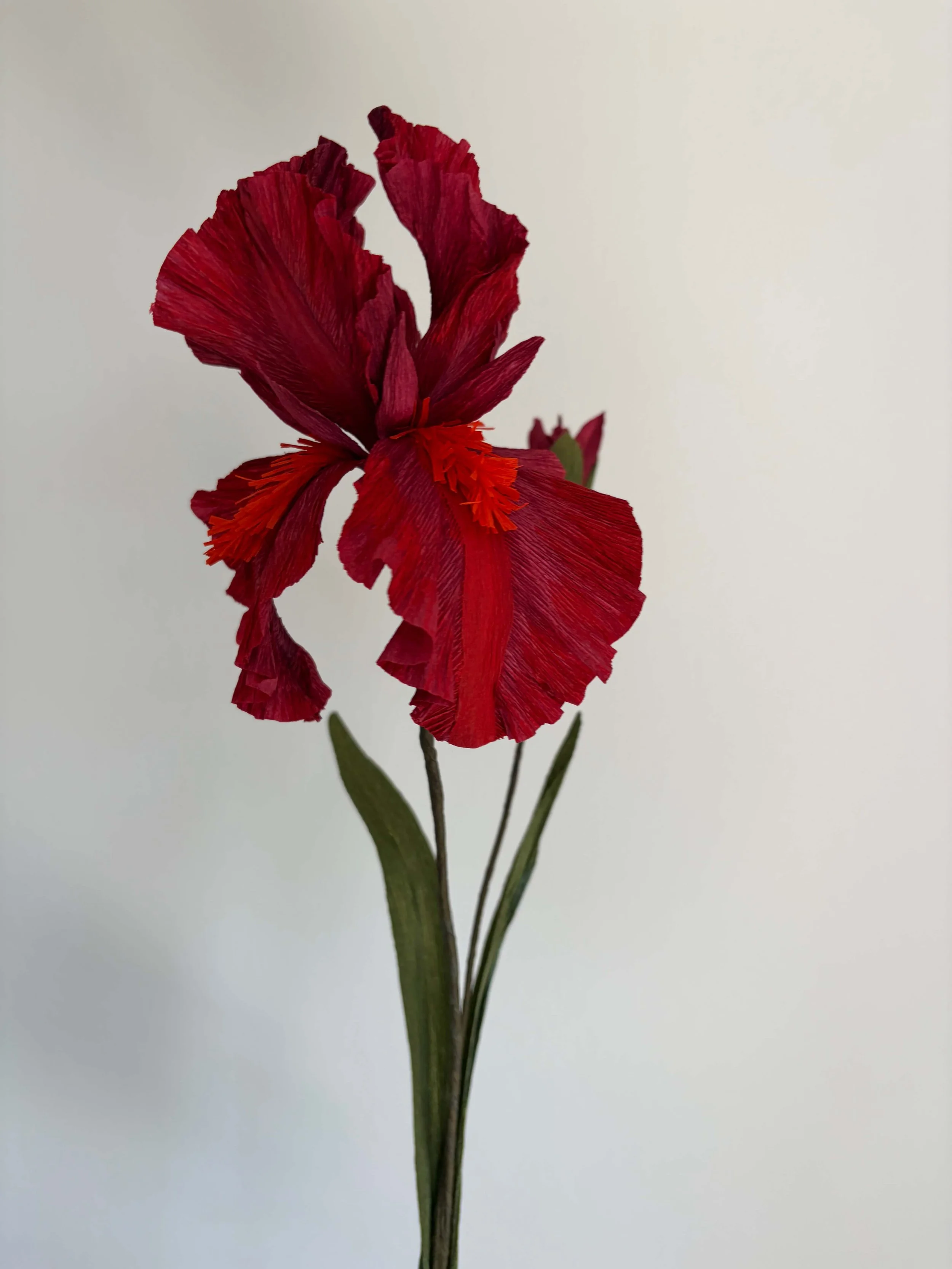 IMG_2759.jpeg
