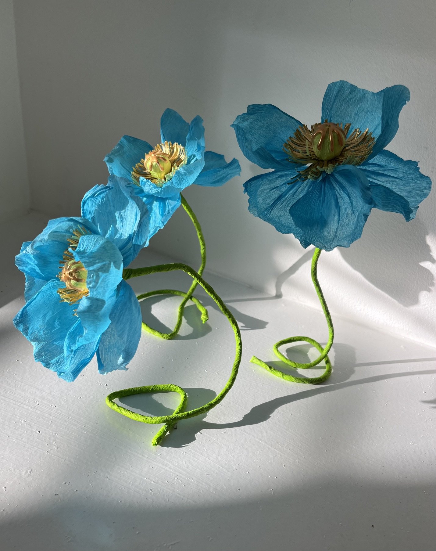 Artificial blue poppy flowers by Emmeli Kimhi with green stems on a white surface, casting shadows.