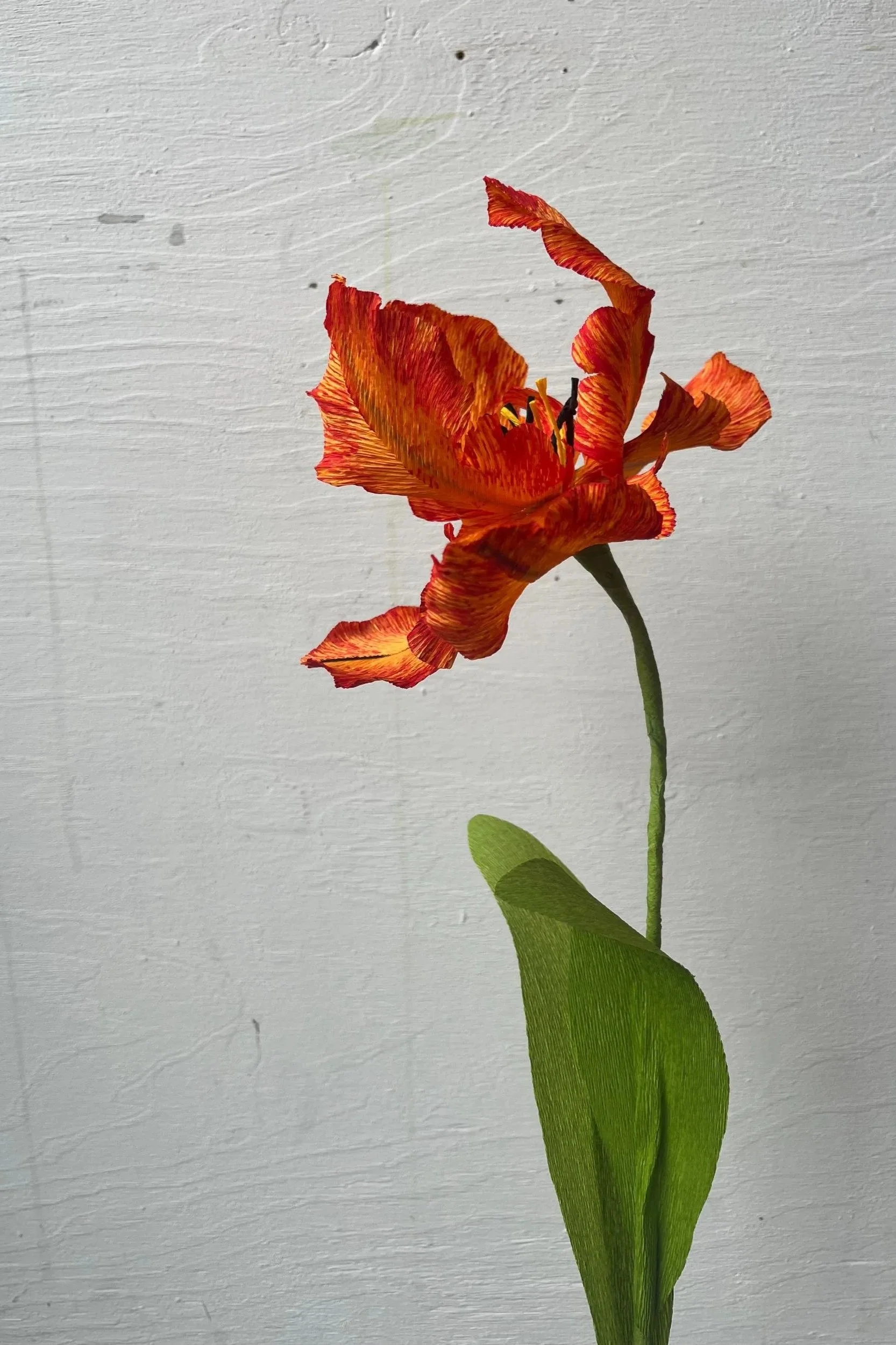 Handcrafted orange Parrot Tulip with intricate curled and feathered petals, paper flower sculpture by Emmeli Kimhi