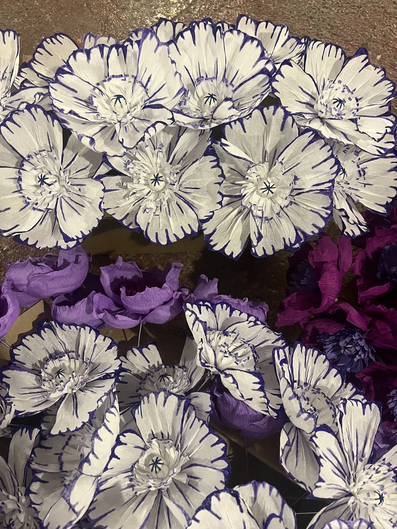 A display of paper flowers by Emmeli Kimhi with white petals outlined in dark blue, arranged in clusters on a surface.
