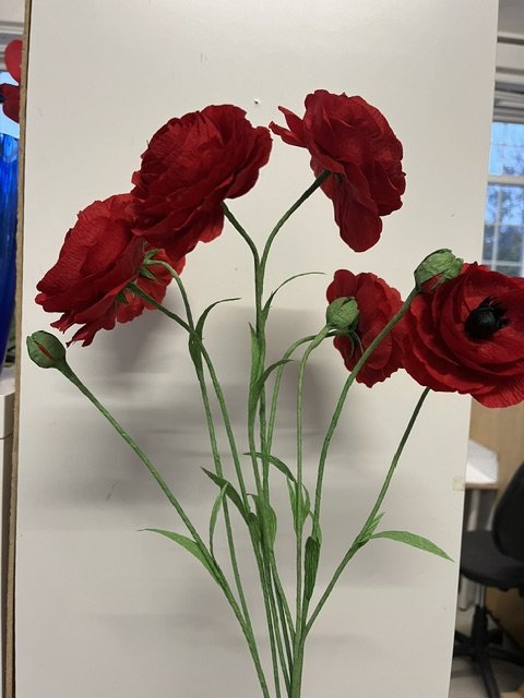 A bouquet of red poppies by Emmeli Kimhi with green stems and leaves, placed against a white background.