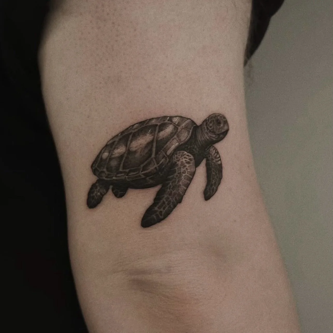 @dobby.tattoo 🐢 Little sea turtle tattooed by our resident artist Ryan recently 💚 He loves an animal tattoo! 

Send him a DM or WhatsApp through the link in his bio @dobby.tattoo to get booked in 💫 

Request your next tattoo via the consultation f