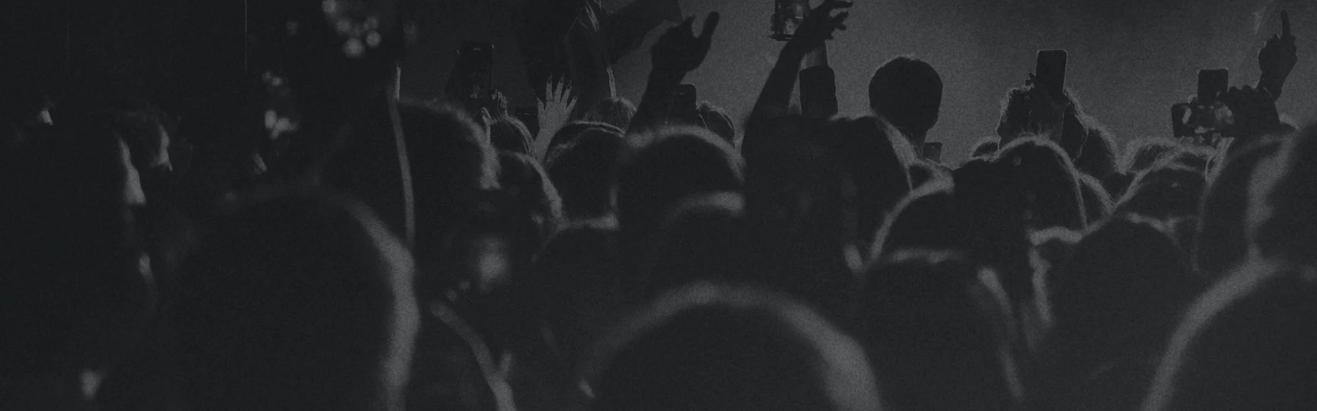 Canadian Live Music Fans at a concert