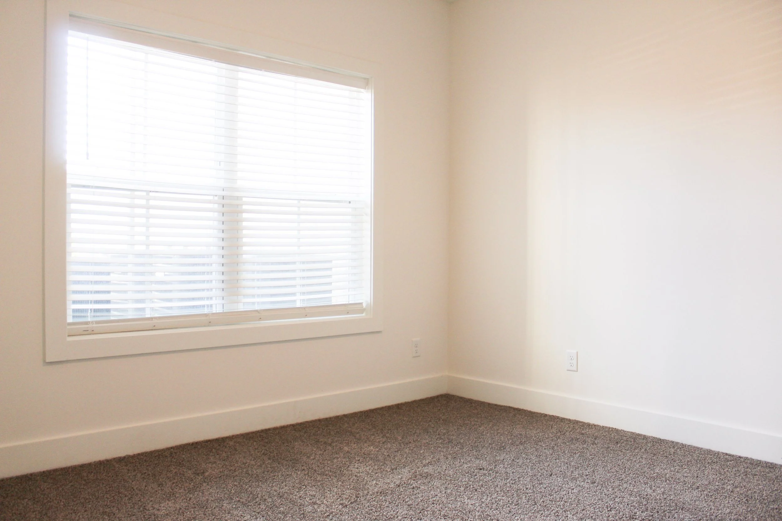 Empty room with a window with white blinds and brown carpet flooring.