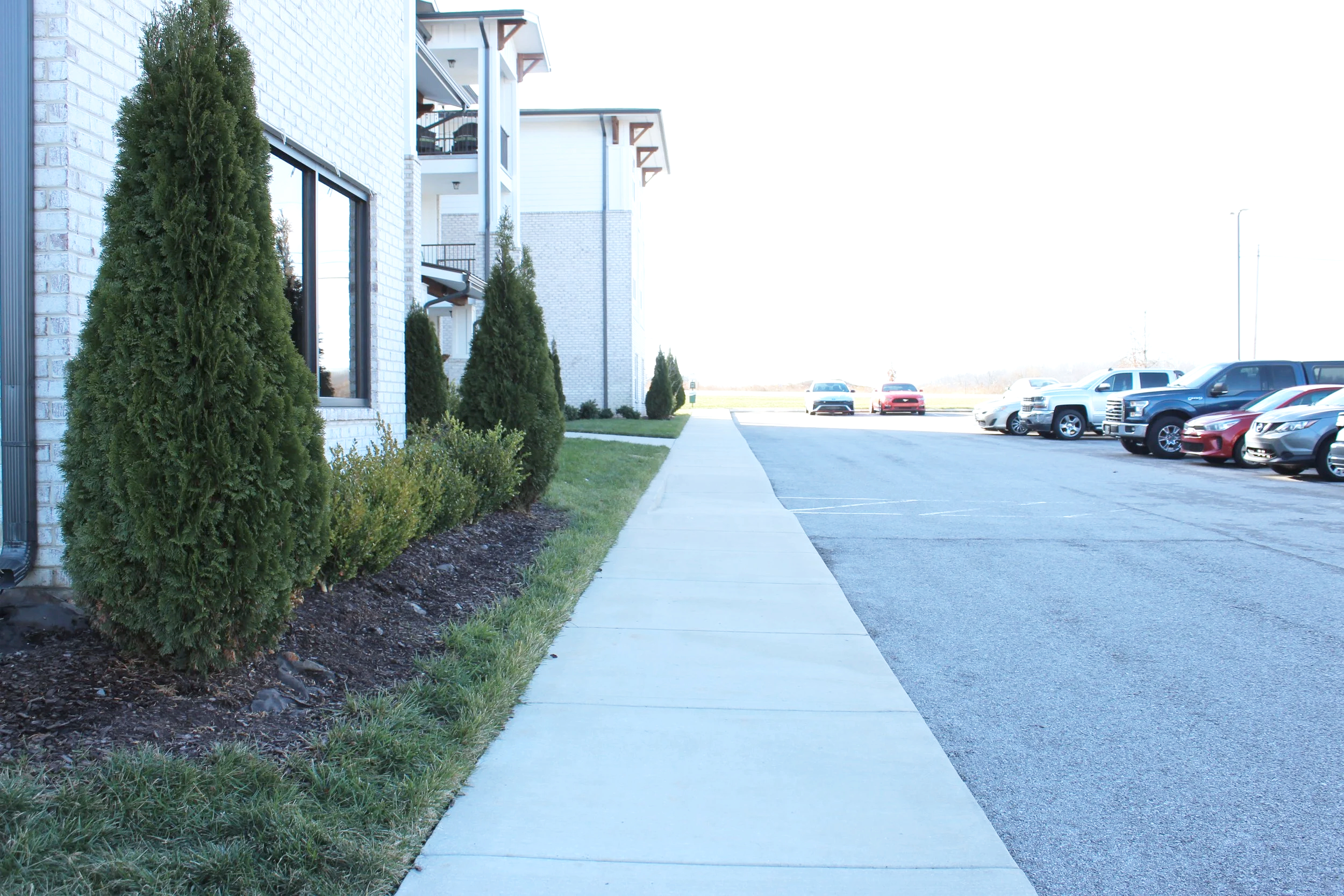 Sidewalk next to a parking lot with parked cars and a building with bushes and trees along the sidewalk.