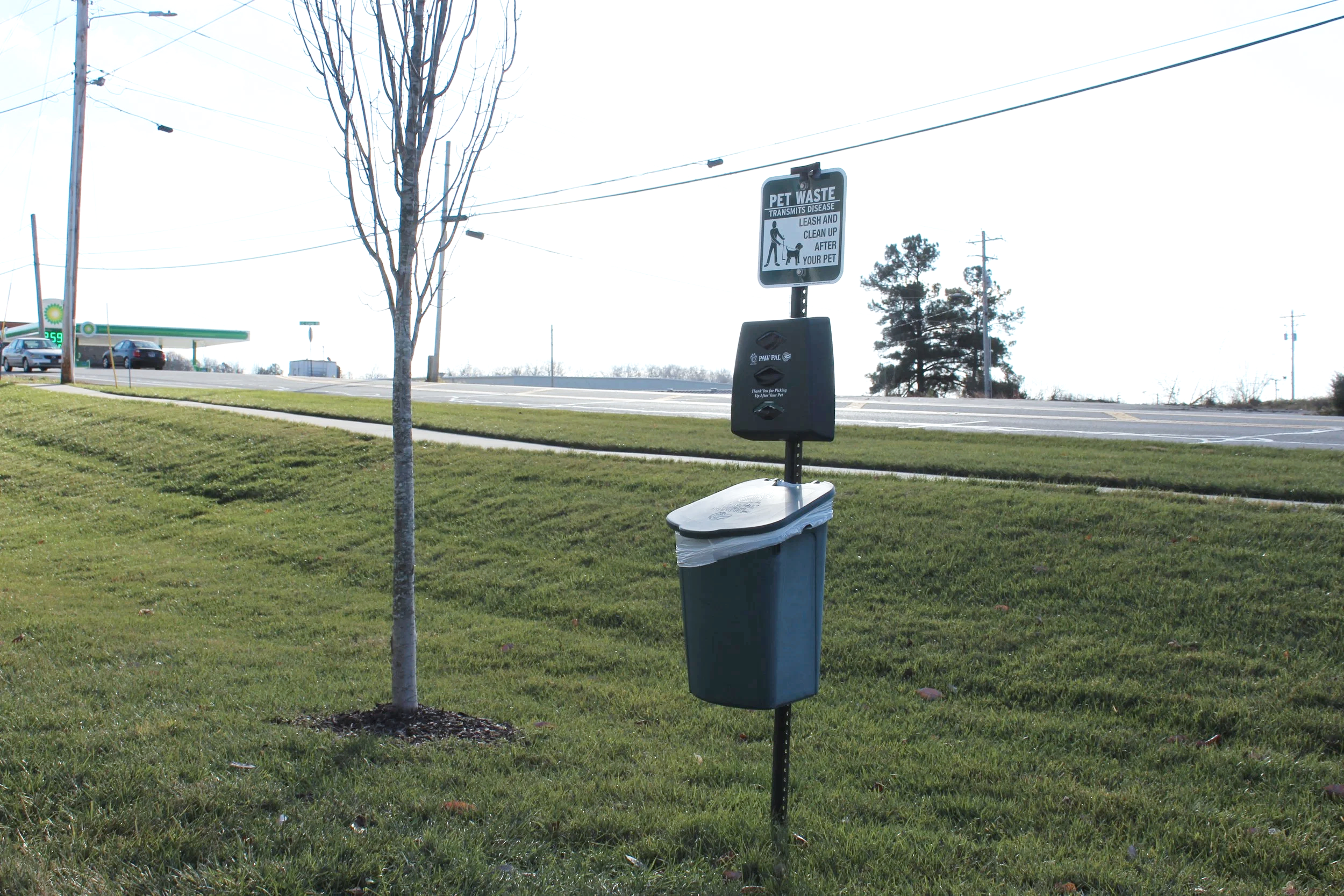 Public pet waste station with a trash bin and a sign, located on a grassy area near a road with a tree, power lines, and cars in the background.
