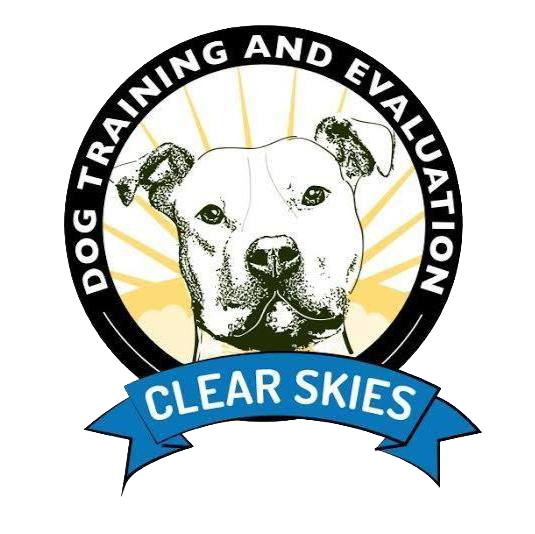 Clear Skies Dog Training and Evaluation LLC