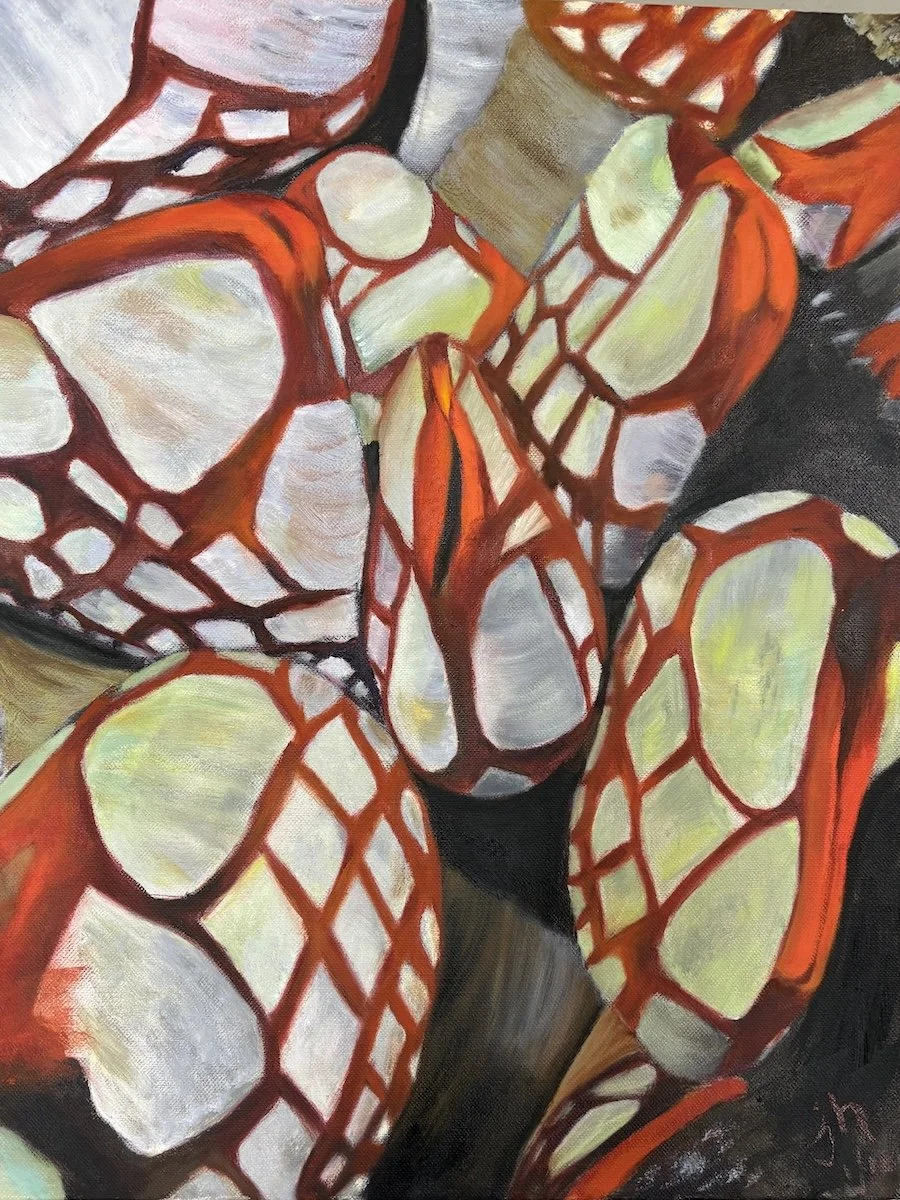 Sensual barnacles 16 x 20 oil on canvas $225