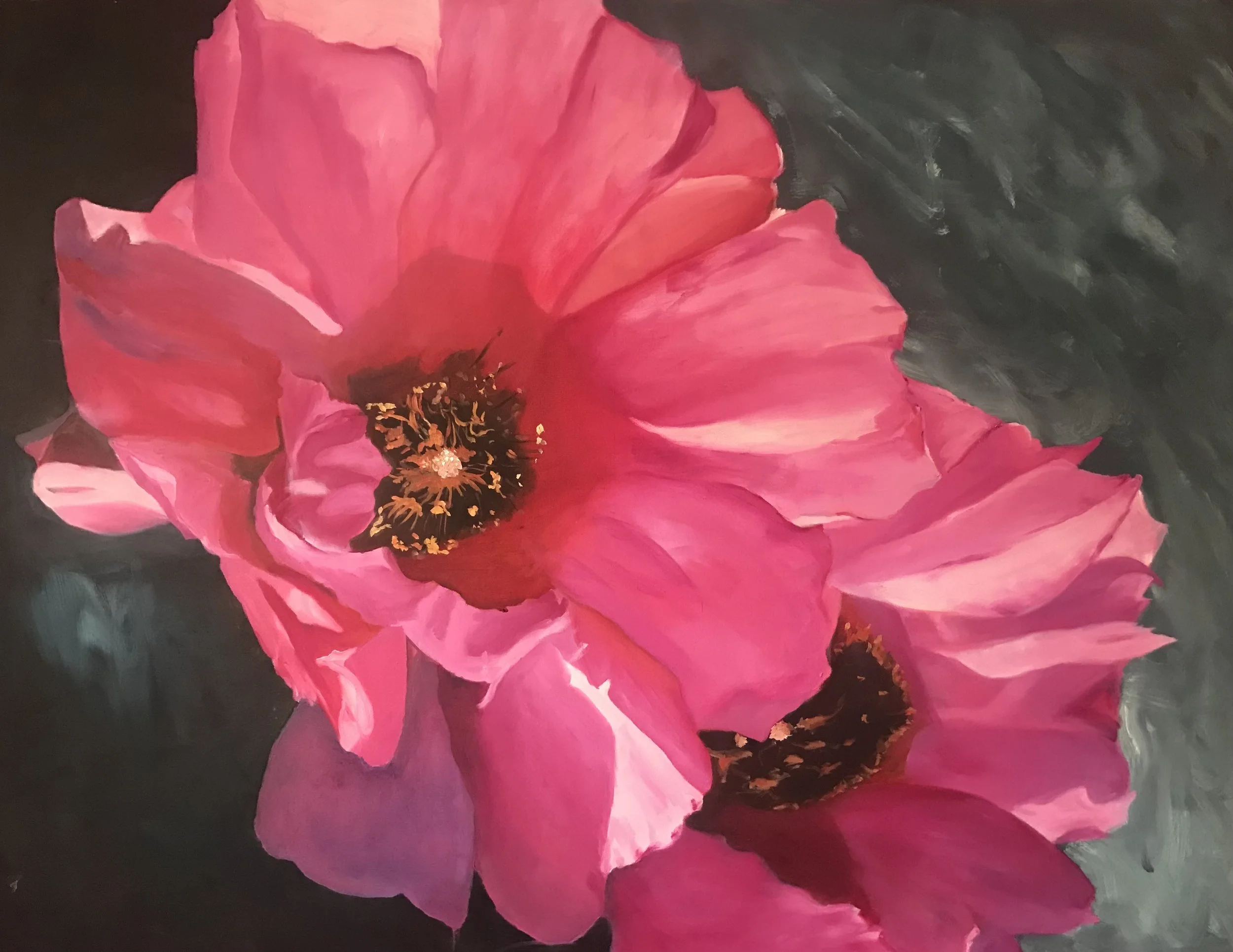 Cactus  Blossoms oil on canvas 36 x 48 $2500