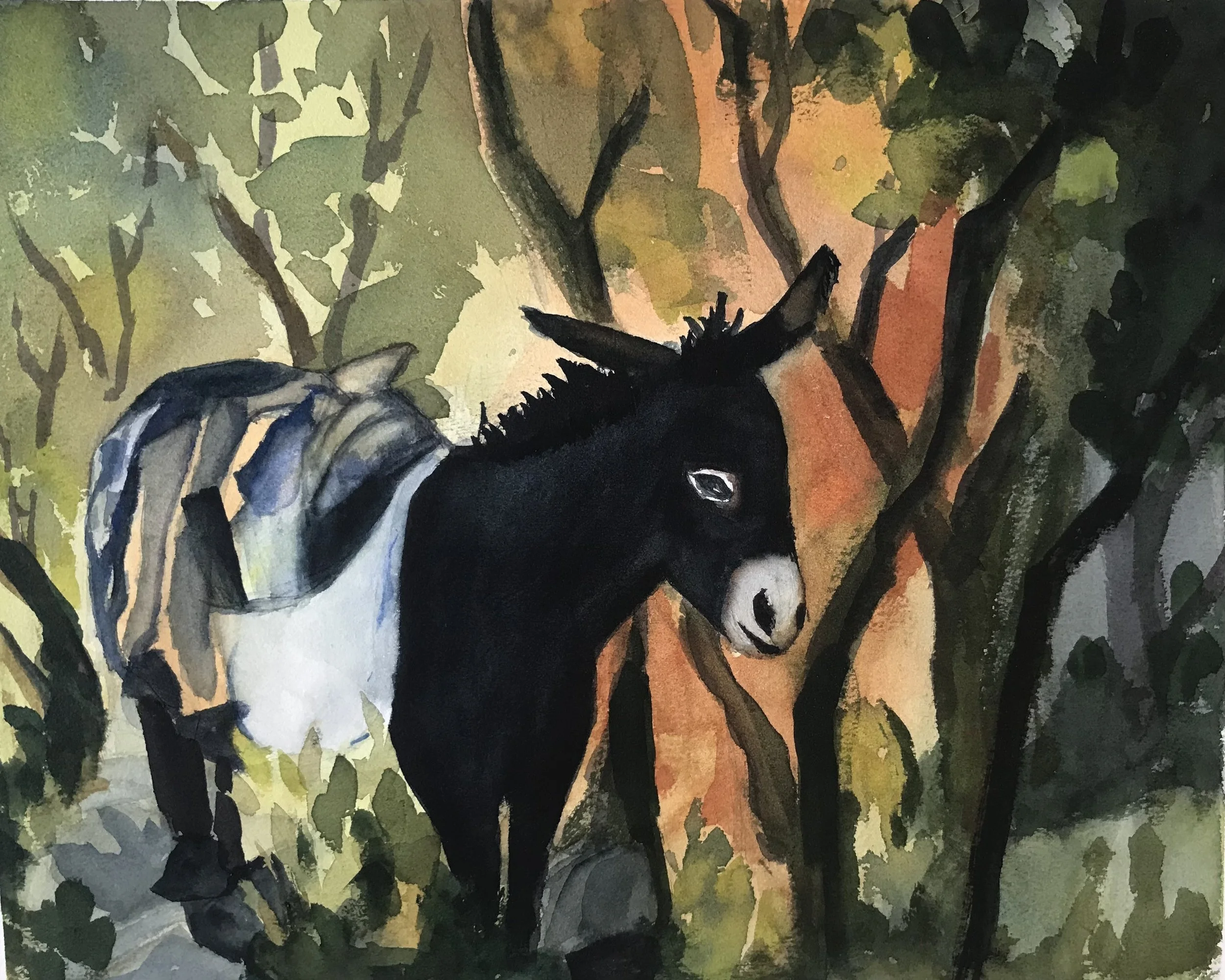 mexican donkey.jpeg