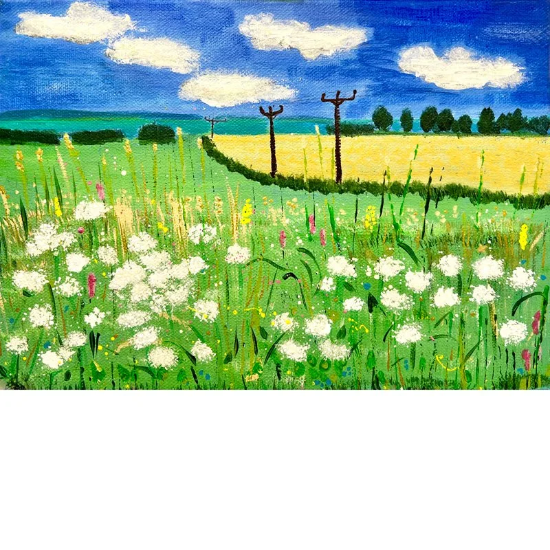 Cow-Parsley-Summer.jpg
