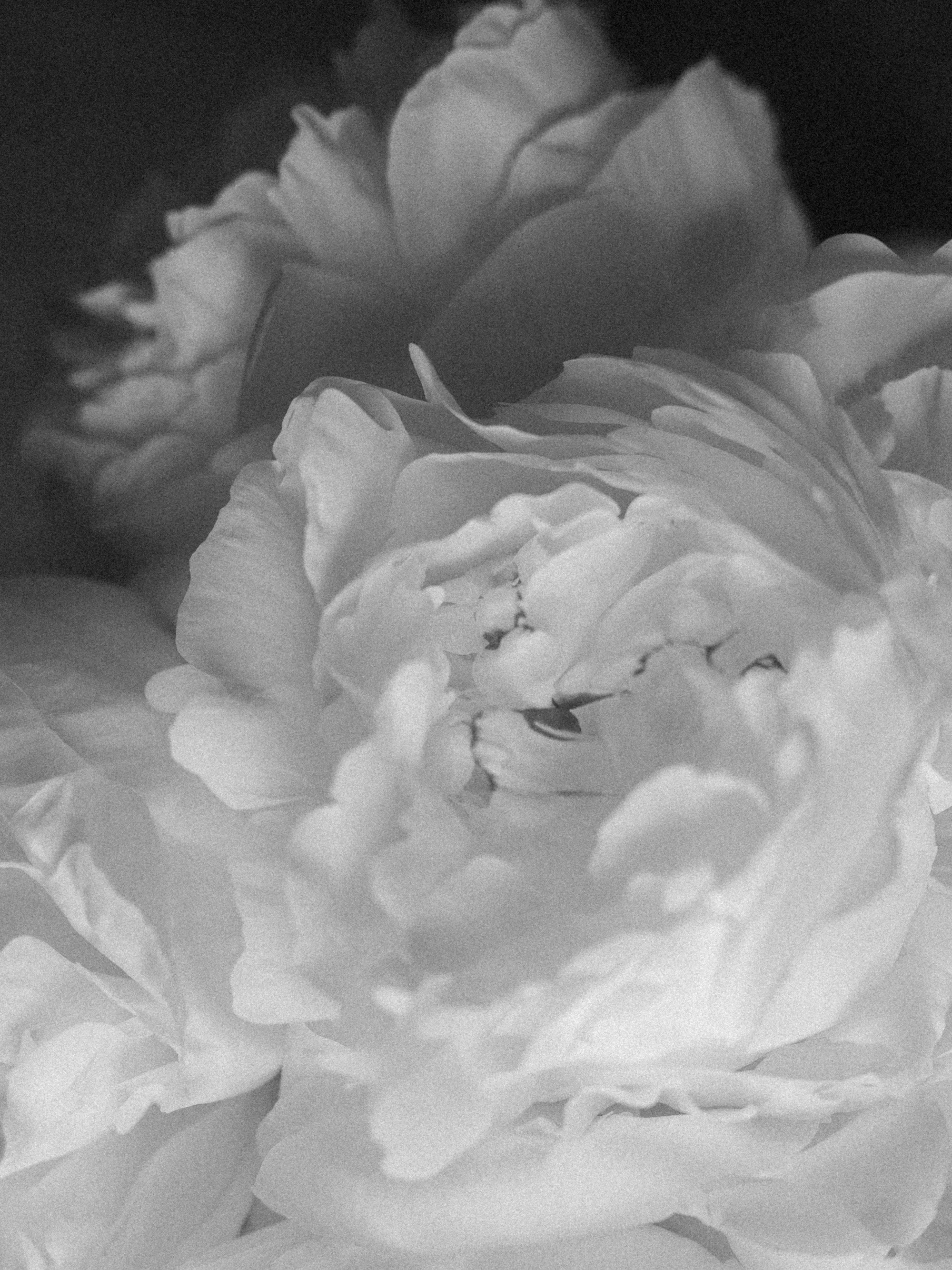 RECIPE - CLASSIC B&W