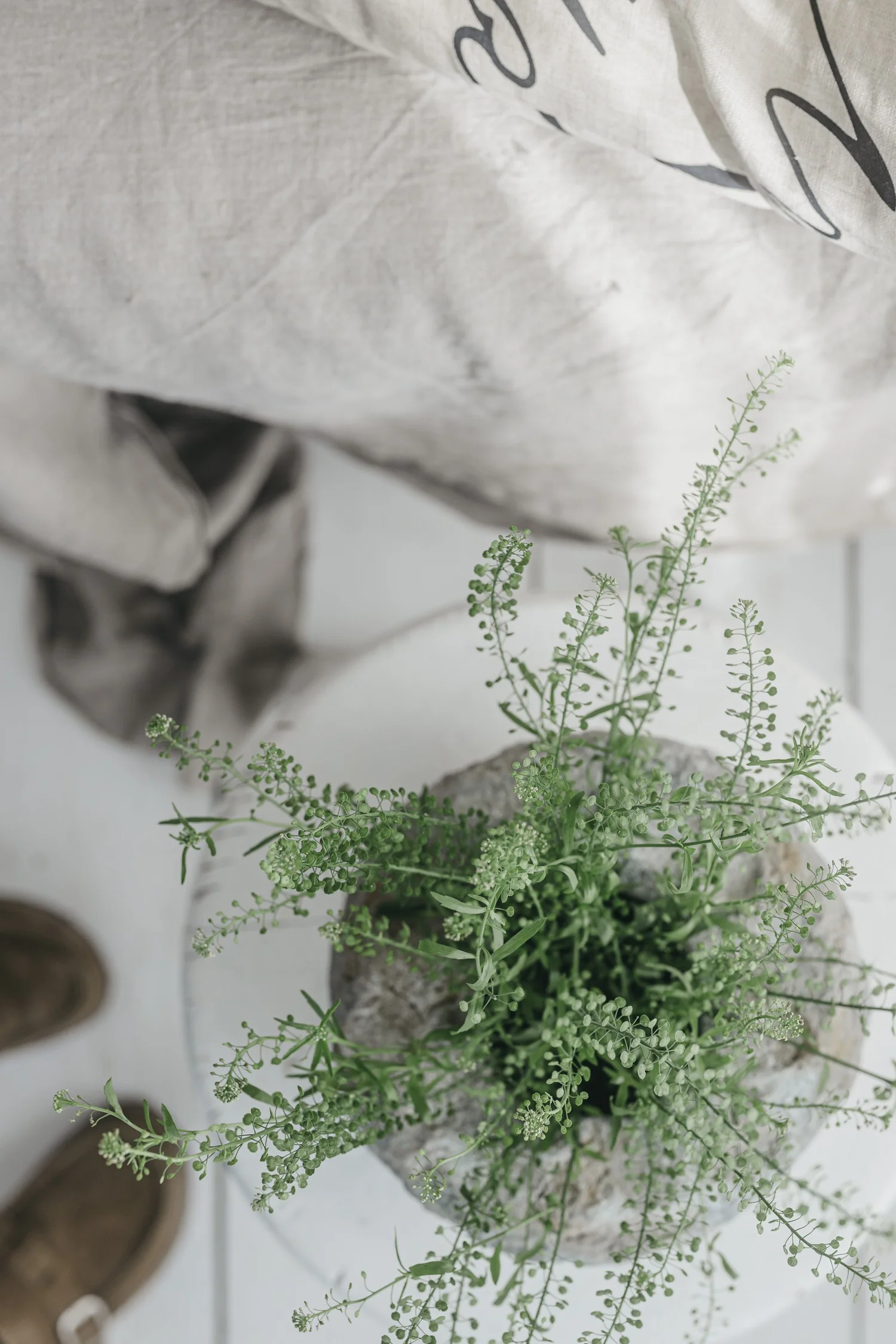 The Kim Klassen Podcast