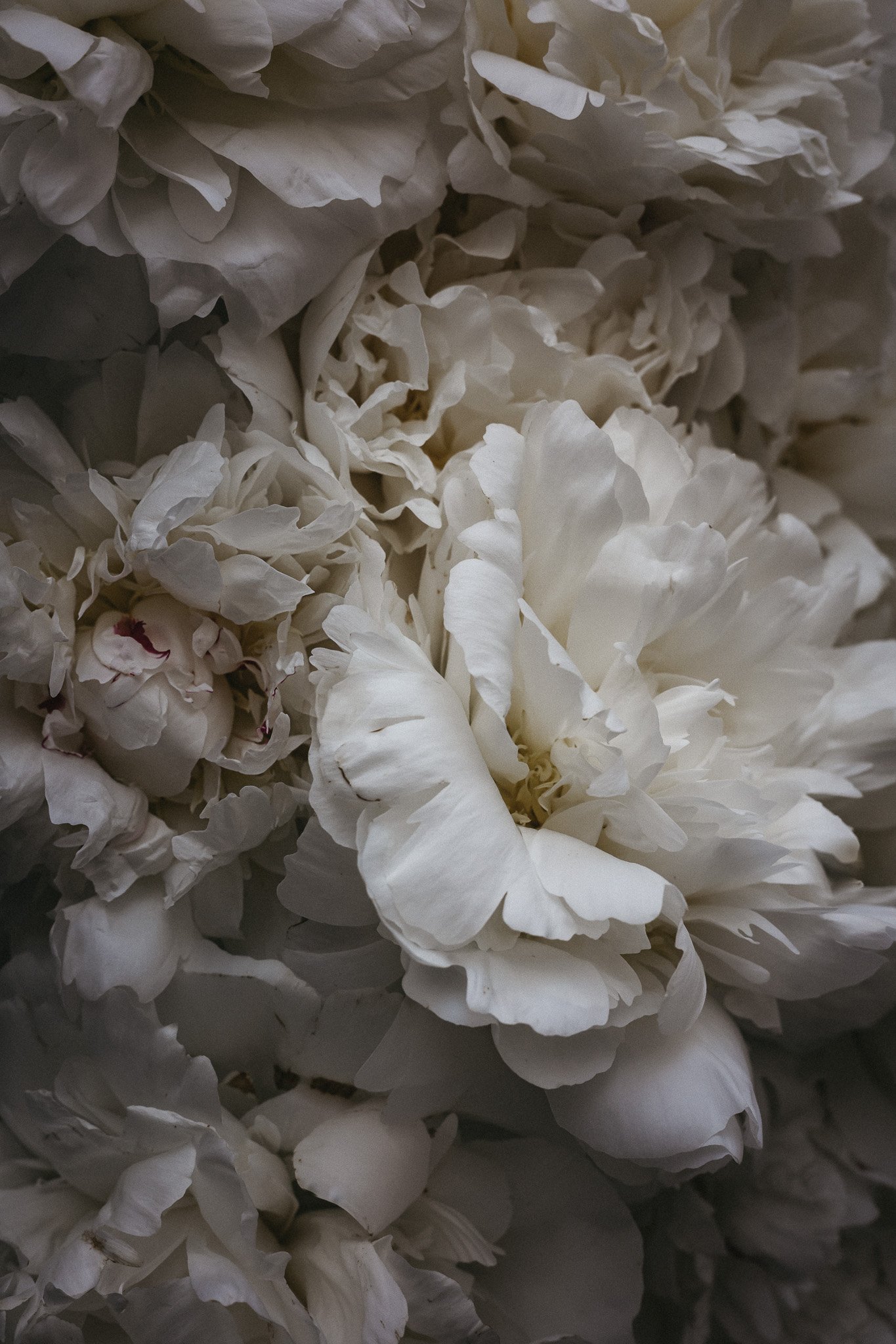 The Kim Klassen Podcast