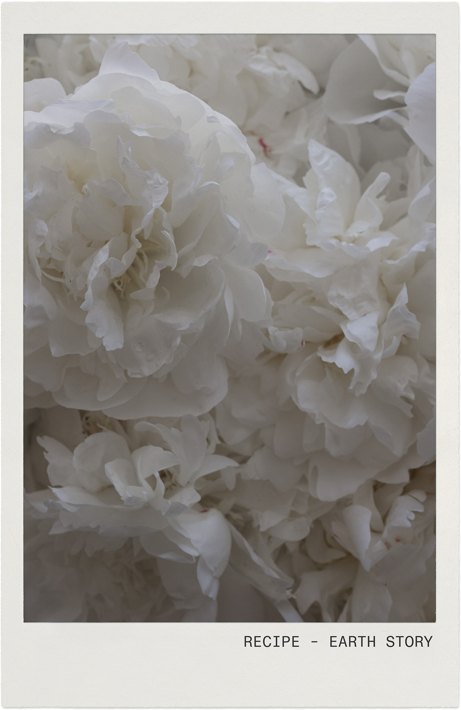 RECIPE-EARTHSTORY-FRAMED.png