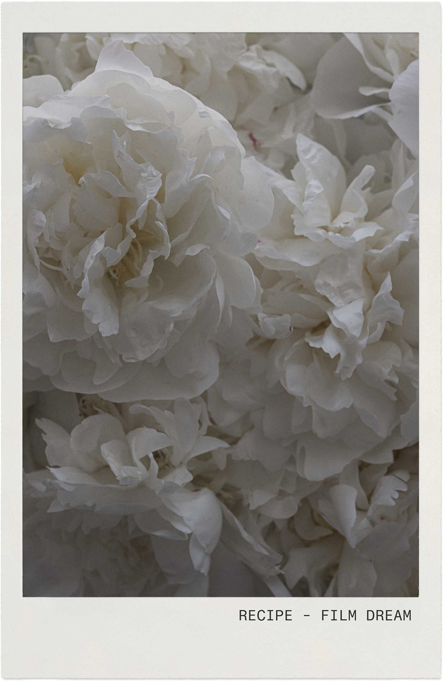 RECIPE-FILM-DREAM-FRAMED.png