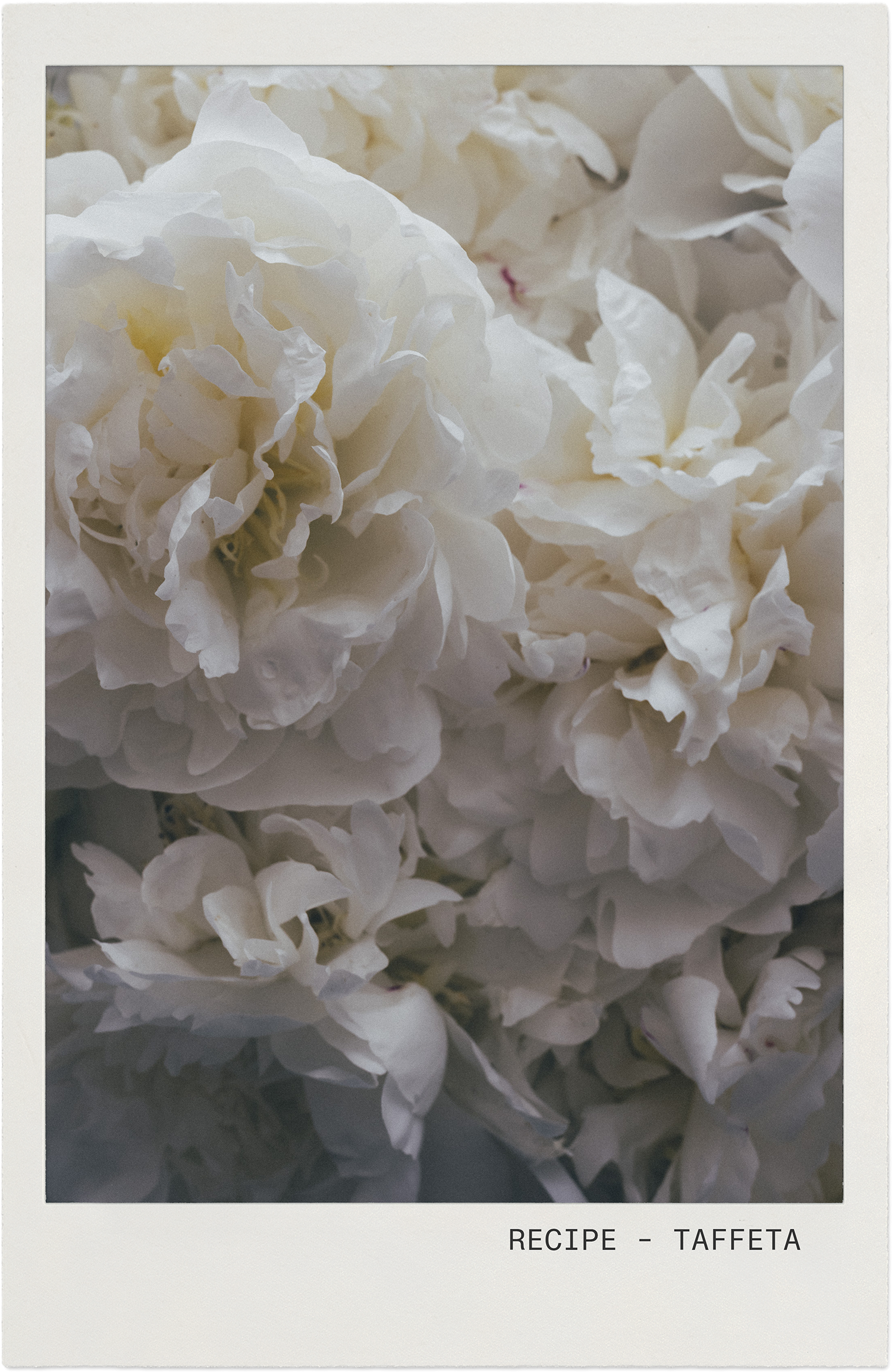 RECIPE-TAFFETA-FRAMED.png
