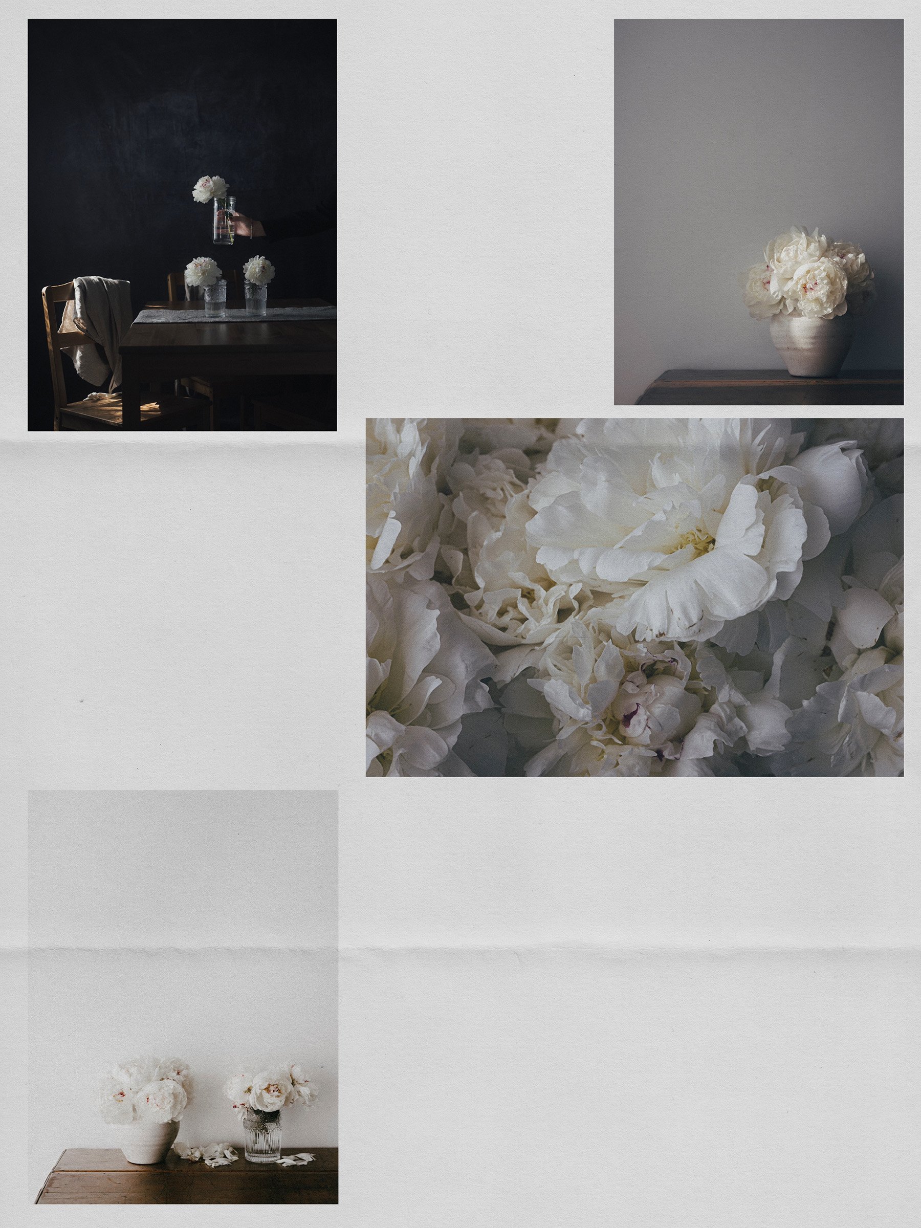 Lightroom Update - Testing Firefly Mood Boards