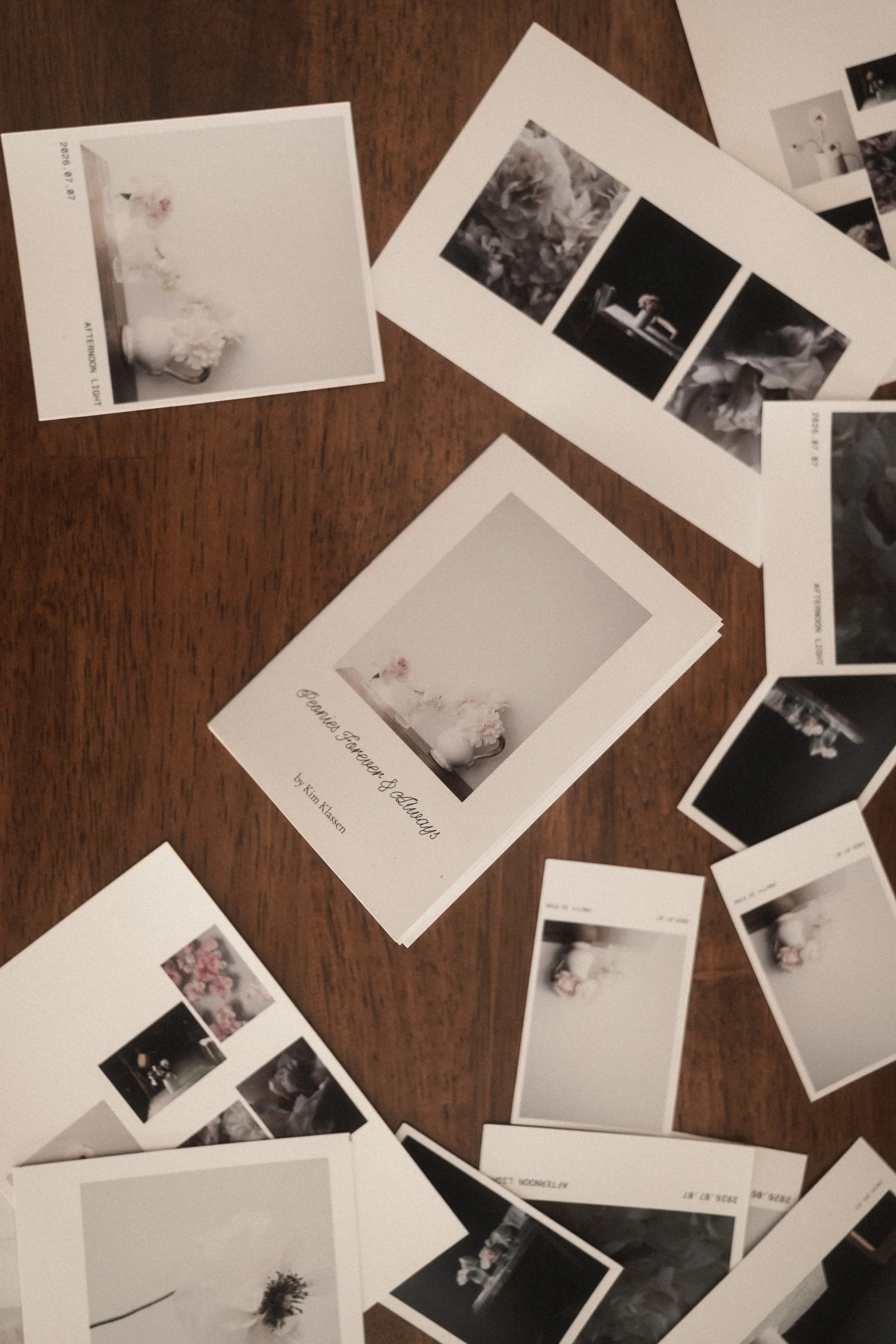 ZINE — Updates 09/07/2026