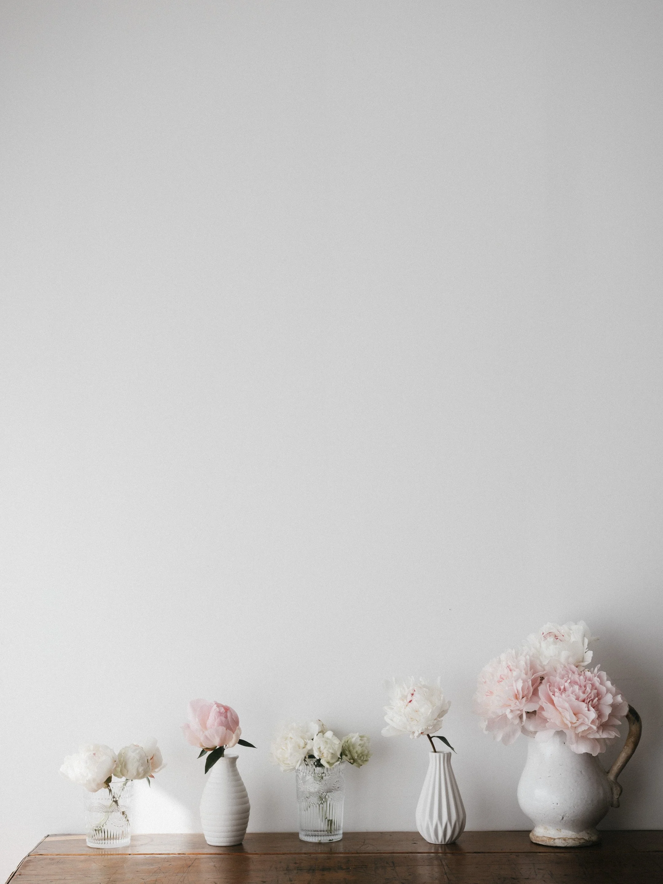 Kim-Klassen-Lifestyle-Photography-20260701-_KKF3940.jpg