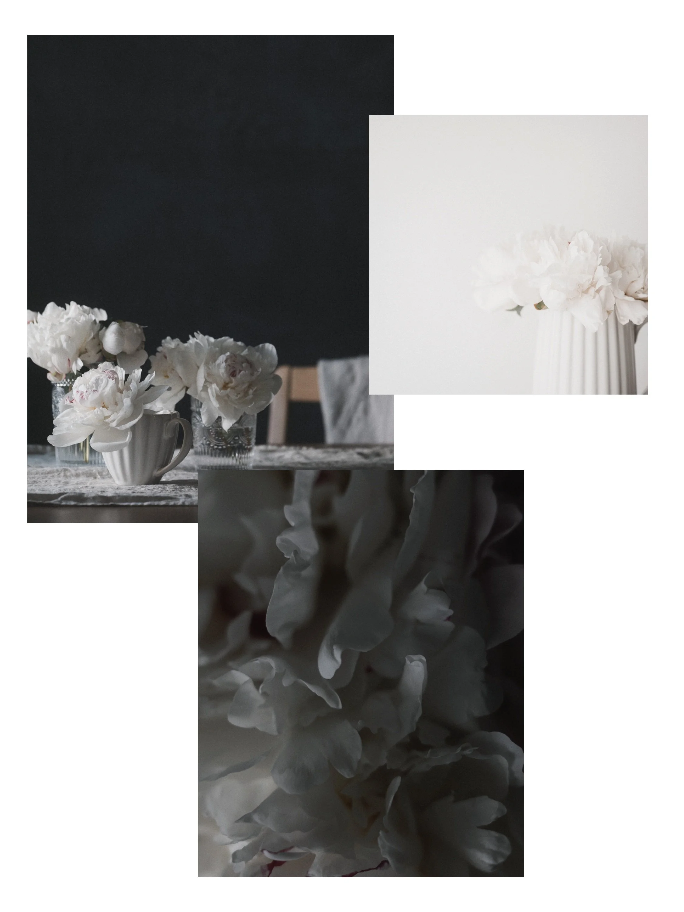 WHITE SPACE STUDIO TOOLS — Send to Feature